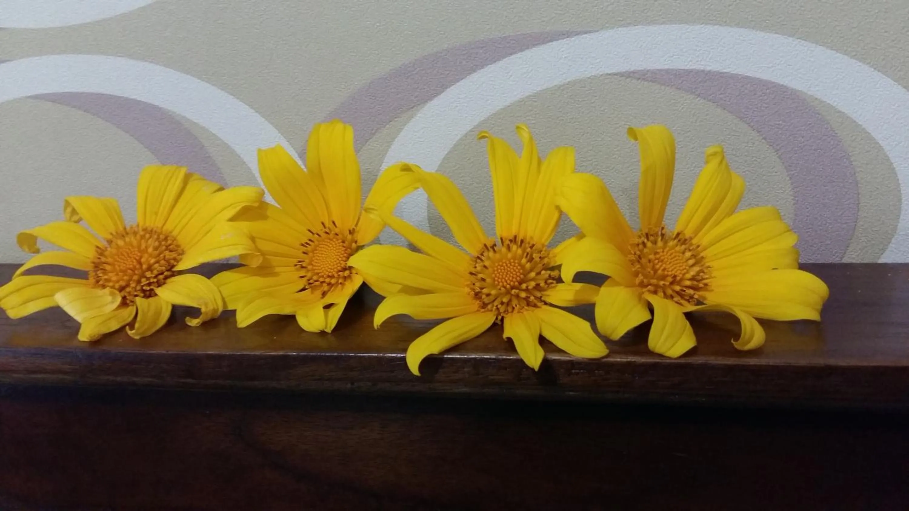 Other in Villa Roemi