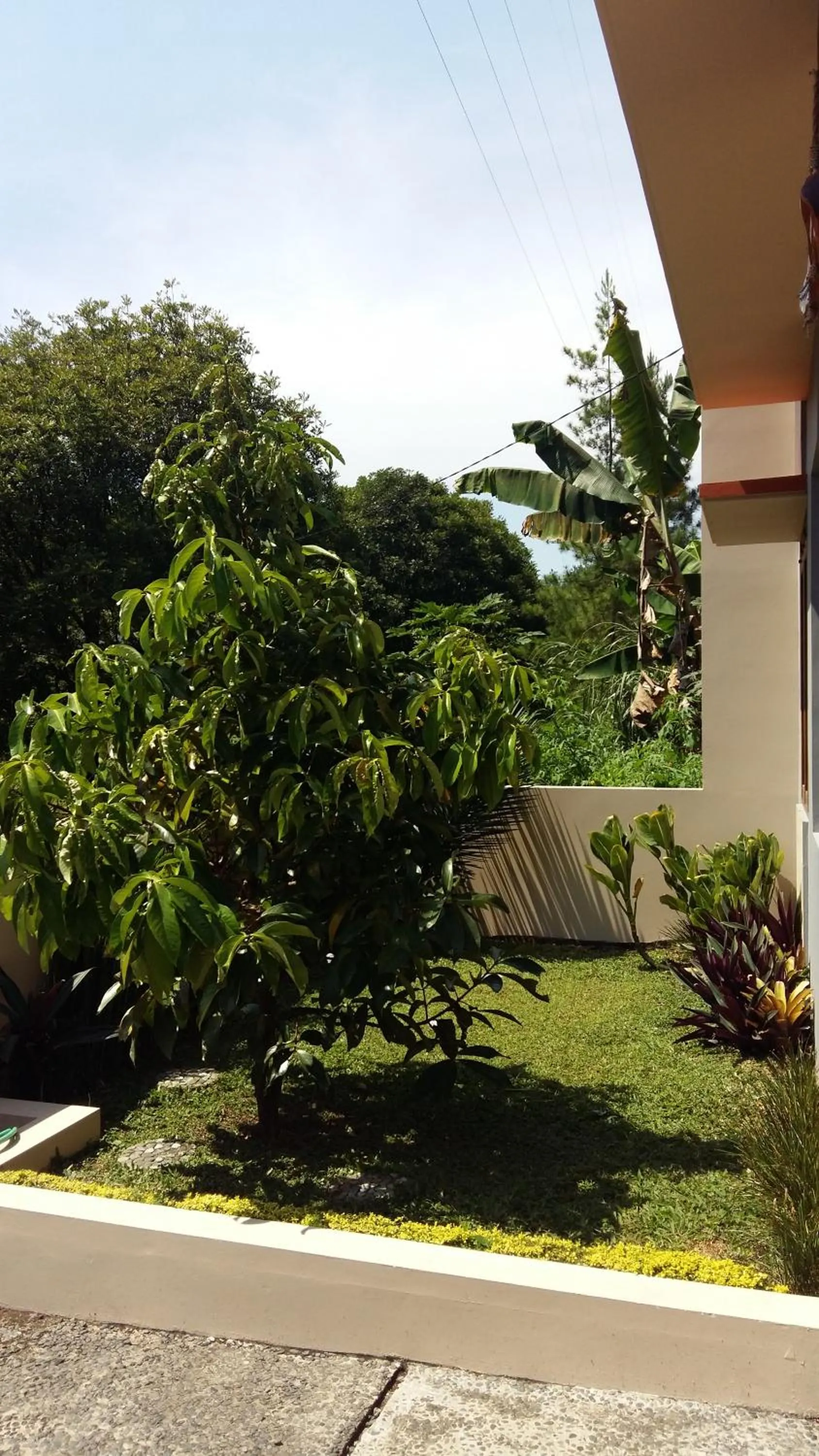 Garden view in Villa Roemi