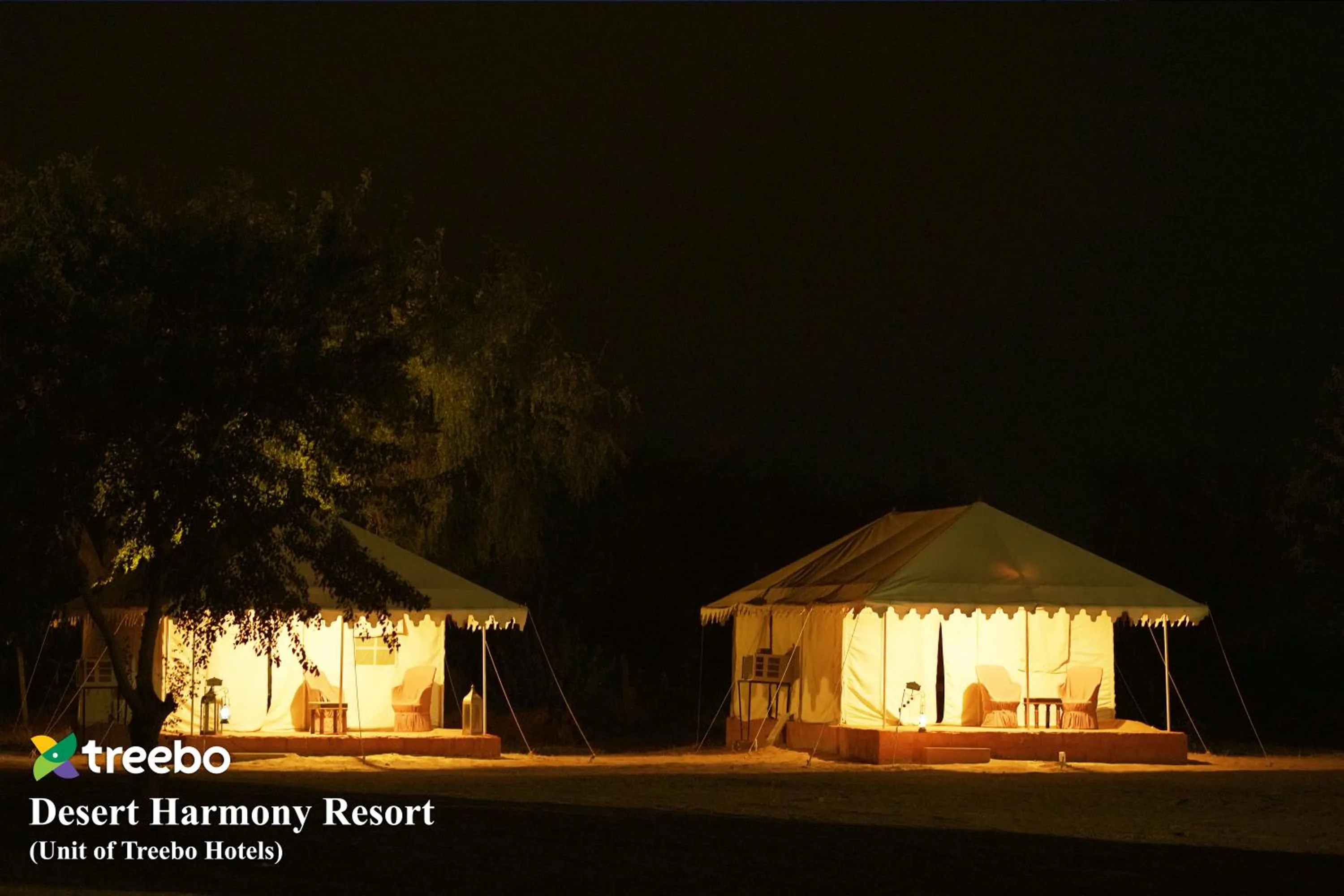 Night in Treebo Desert Harmony Camp