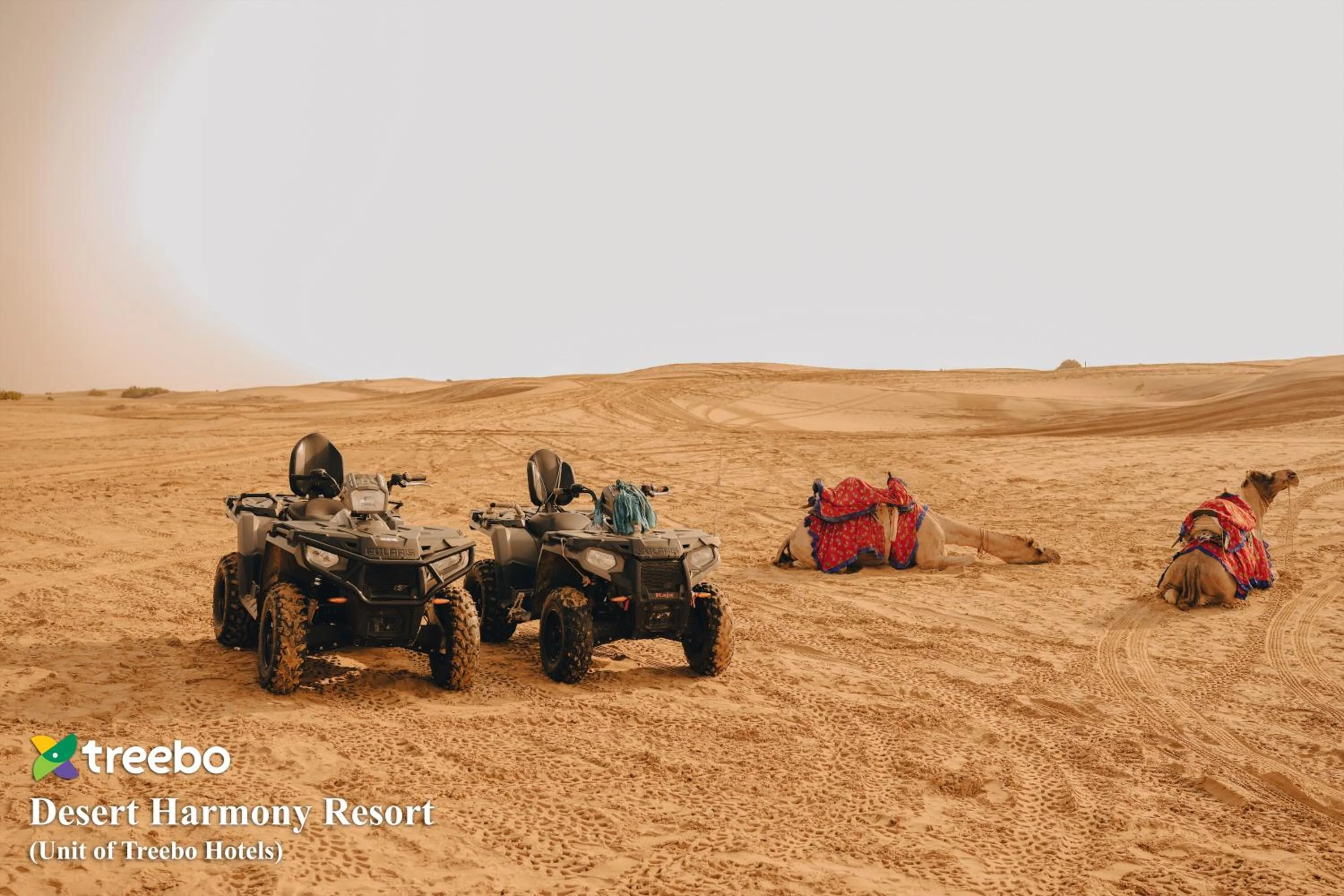 Activities in Treebo Desert Harmony Camp