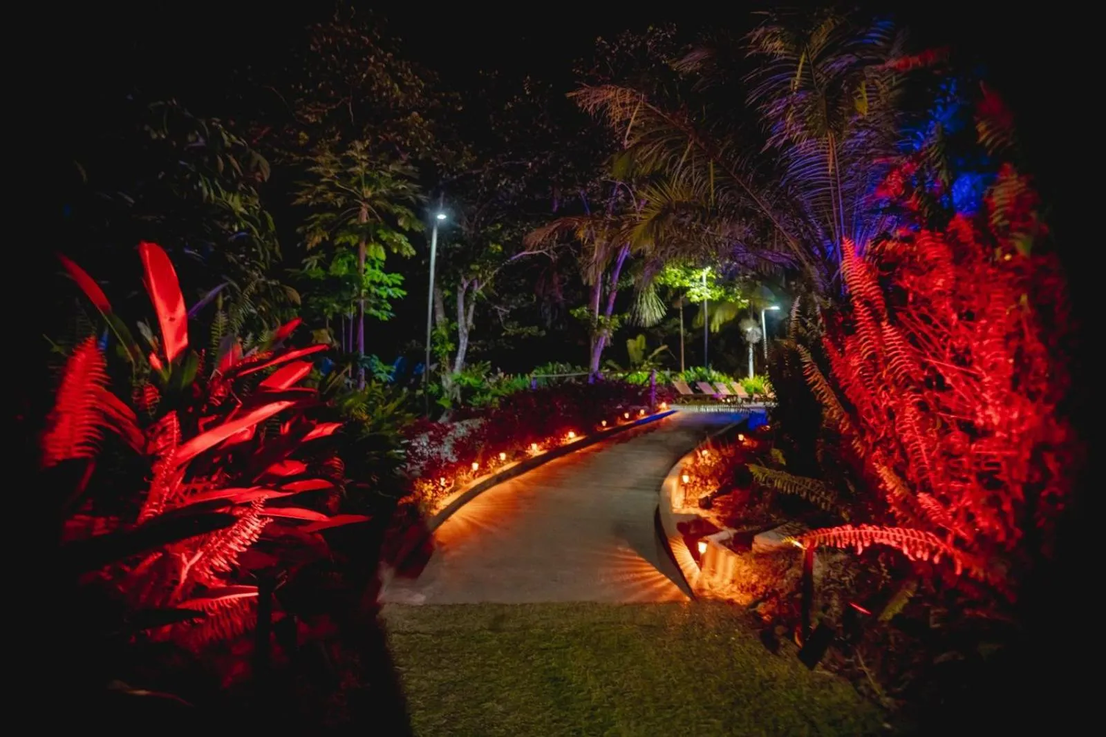 Garden in Biohotel Arara River