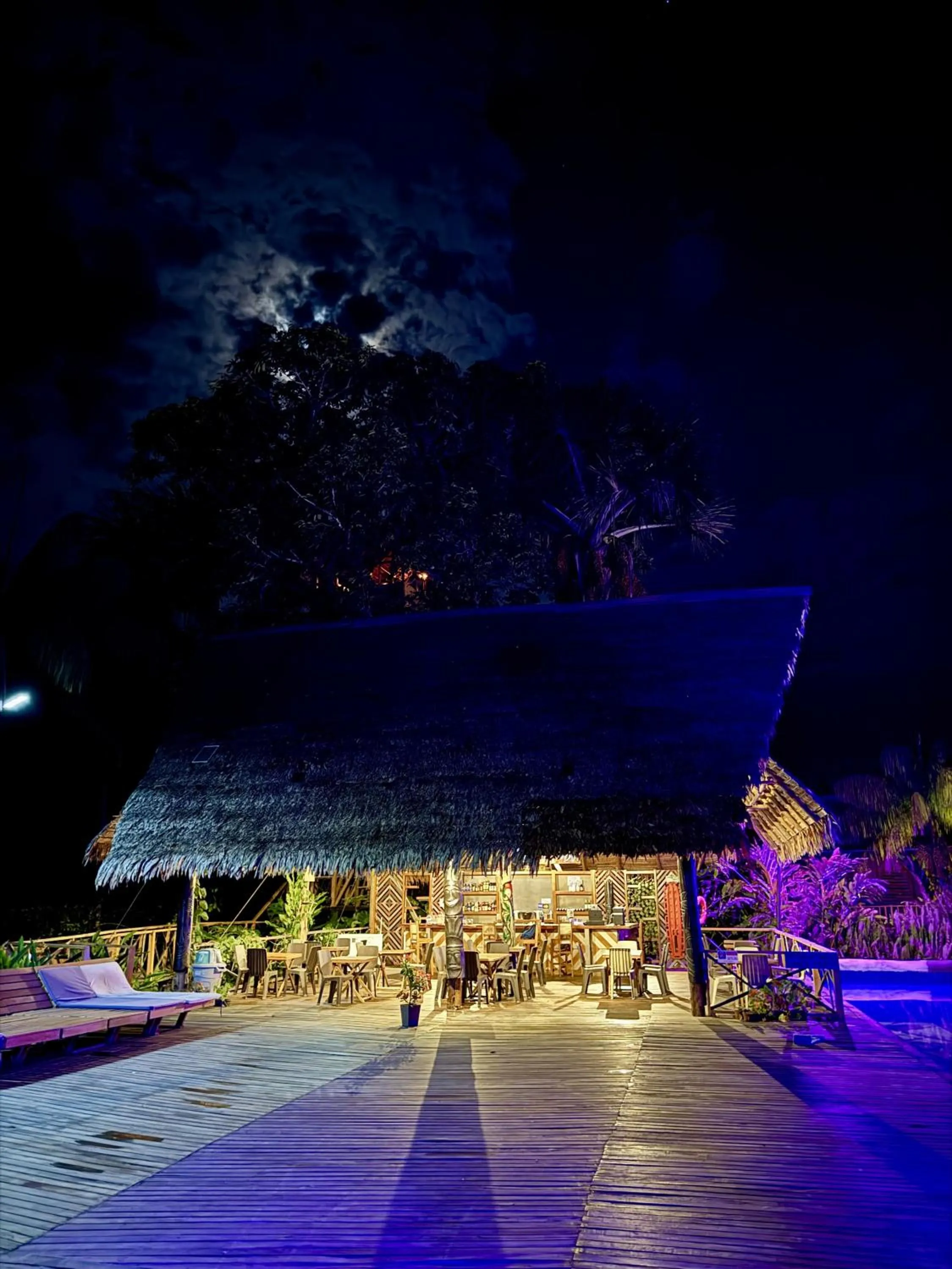 Lounge or bar in Biohotel Arara River