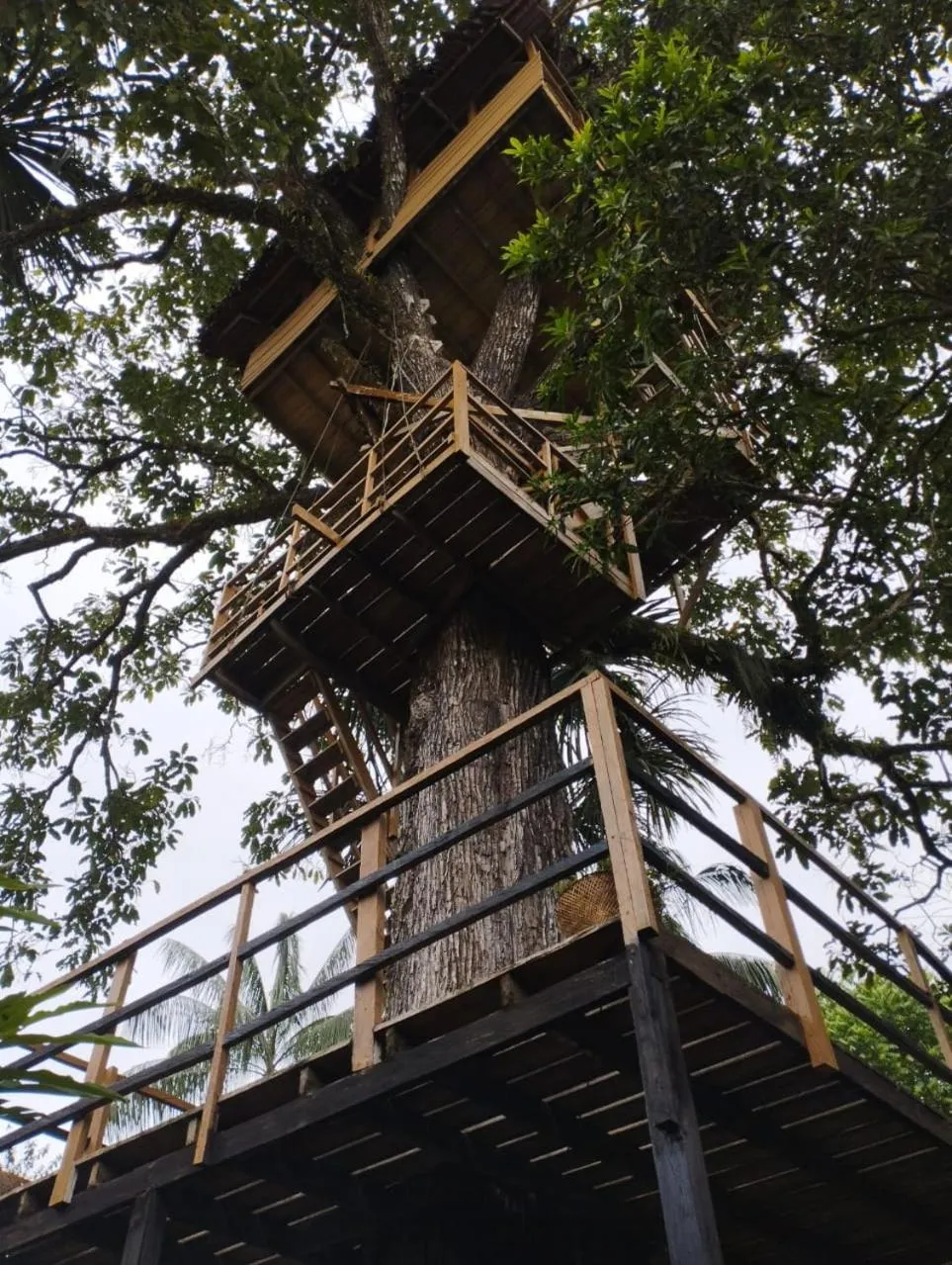 Natural landscape in Biohotel Arara River