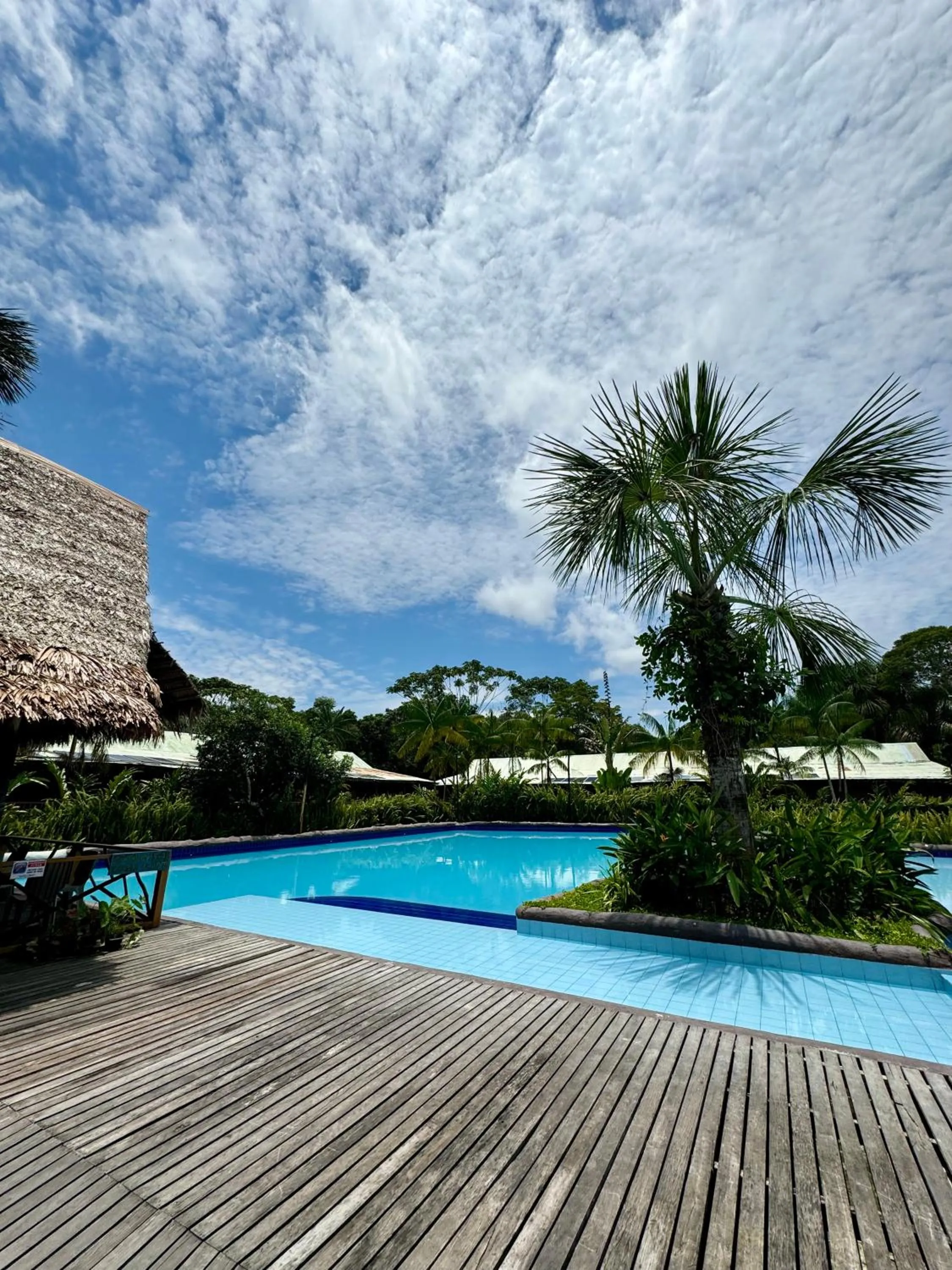 Swimming pool in Biohotel Arara River