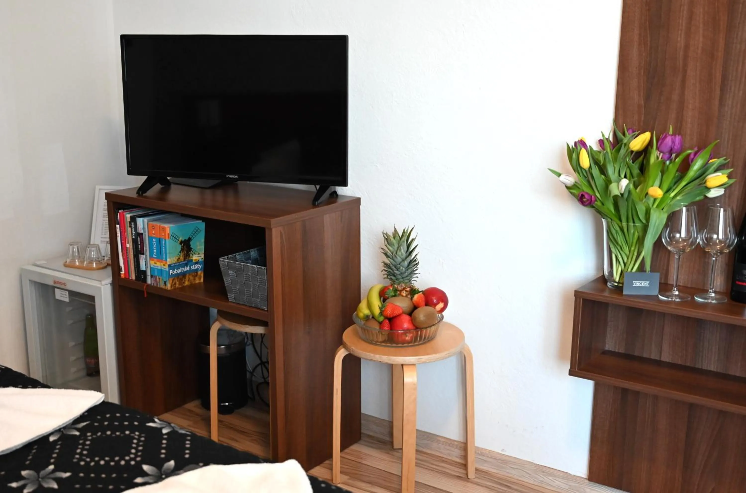 Communal lounge/ TV room in Hotel Vincent