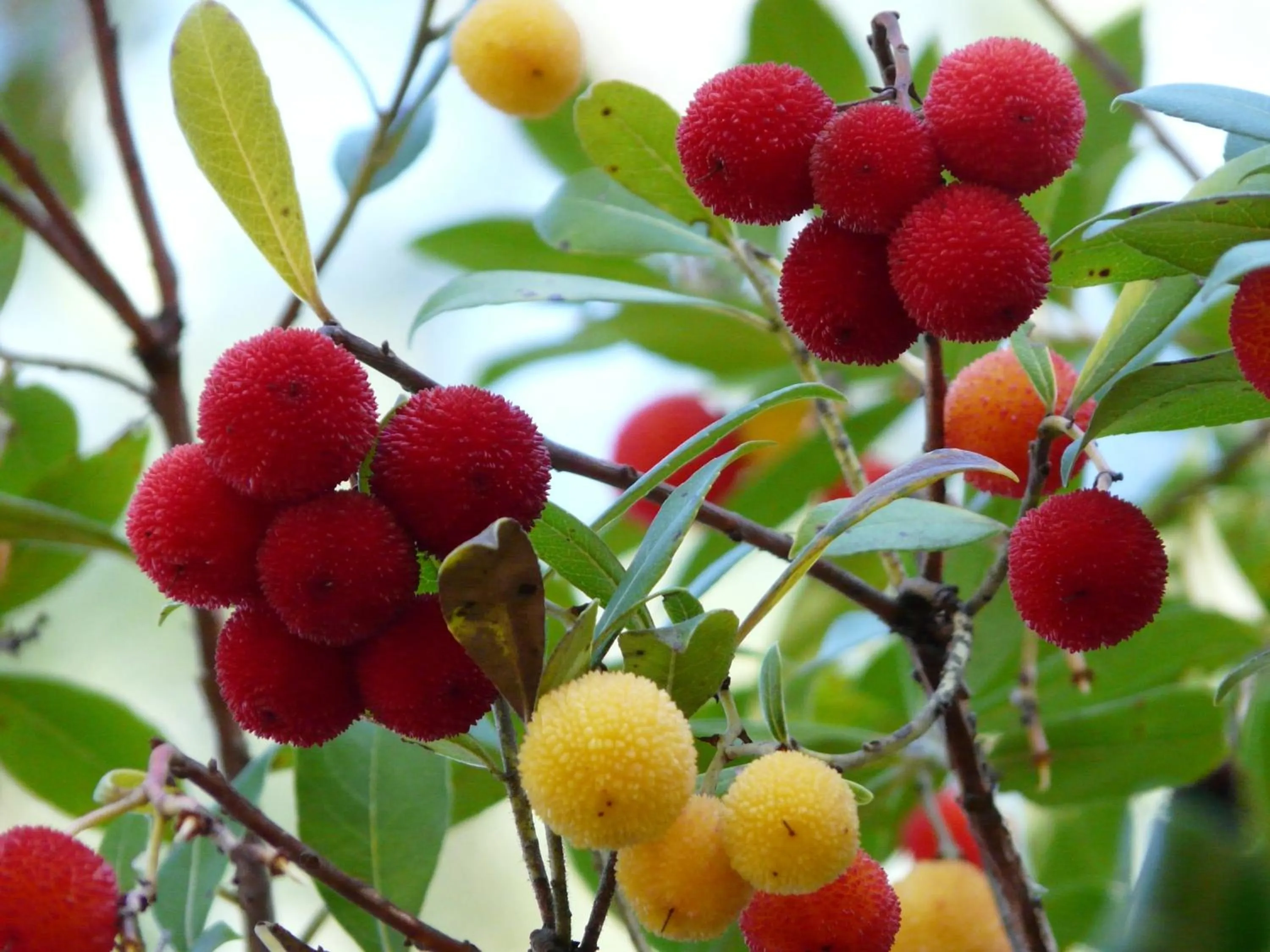 Other in Hotel Rural Montaña de Cazorla