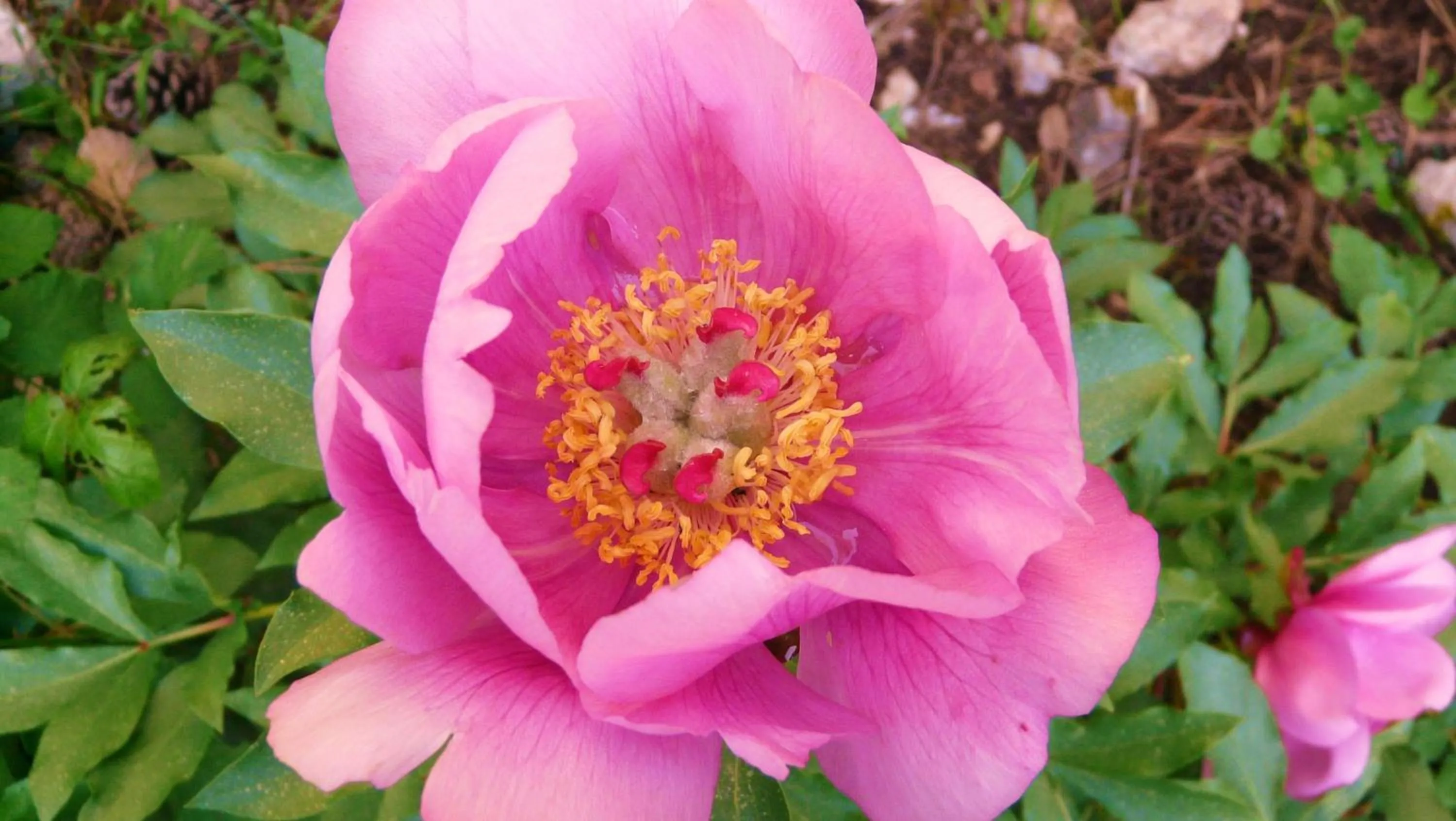 Other in Hotel Rural Montaña de Cazorla