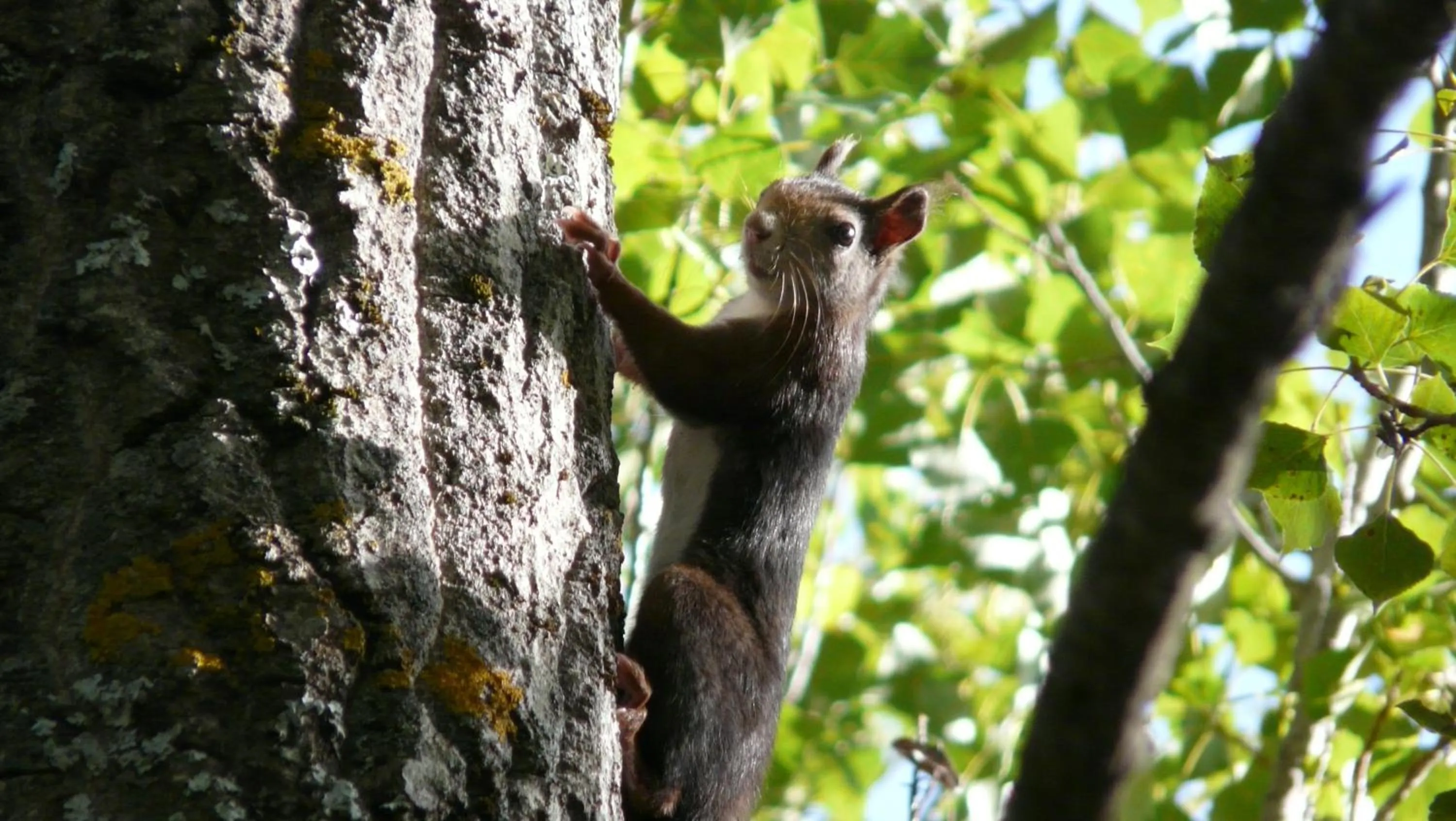 Other in Hotel Rural Montaña de Cazorla