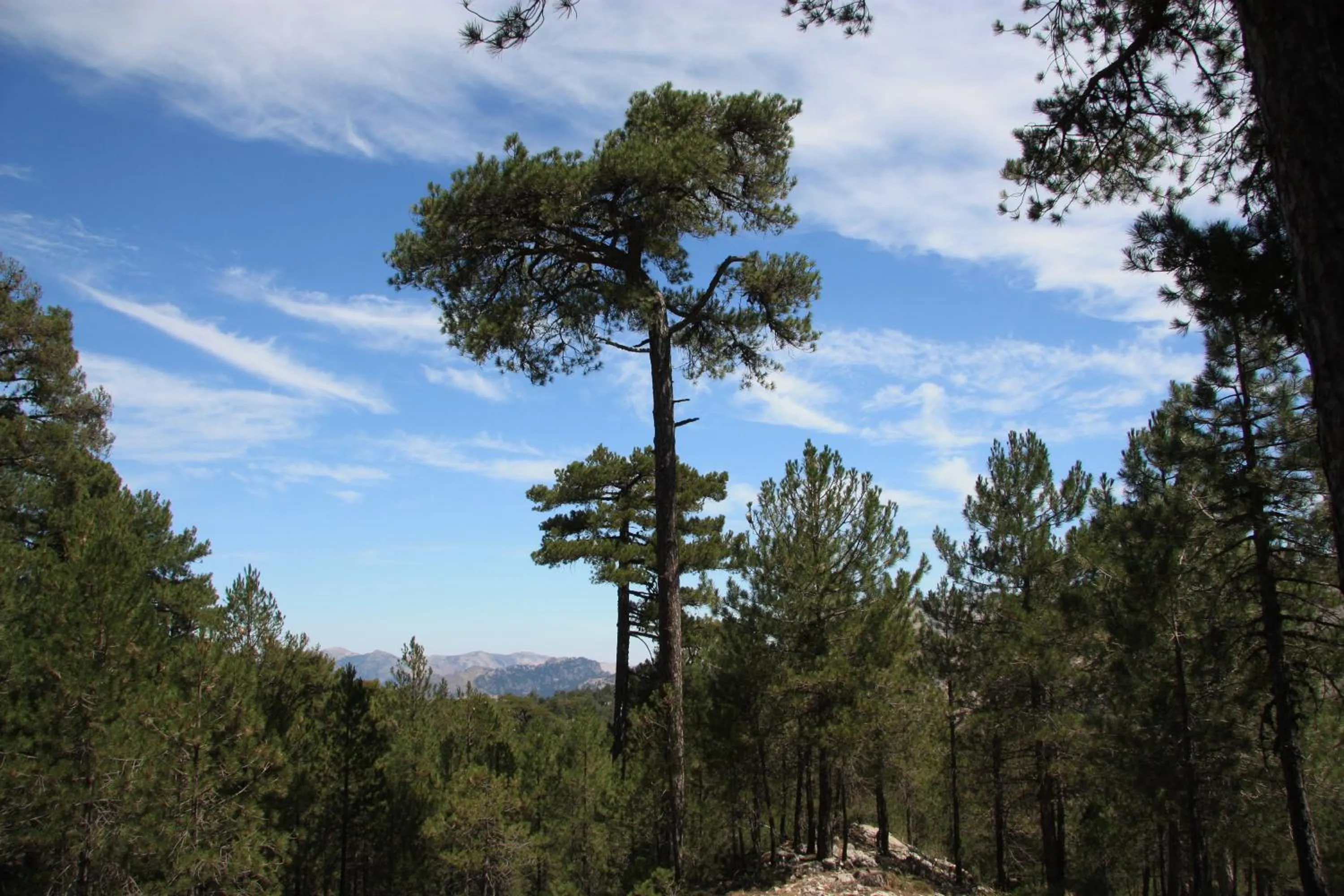 Hiking in Hotel Rural Montaña de Cazorla