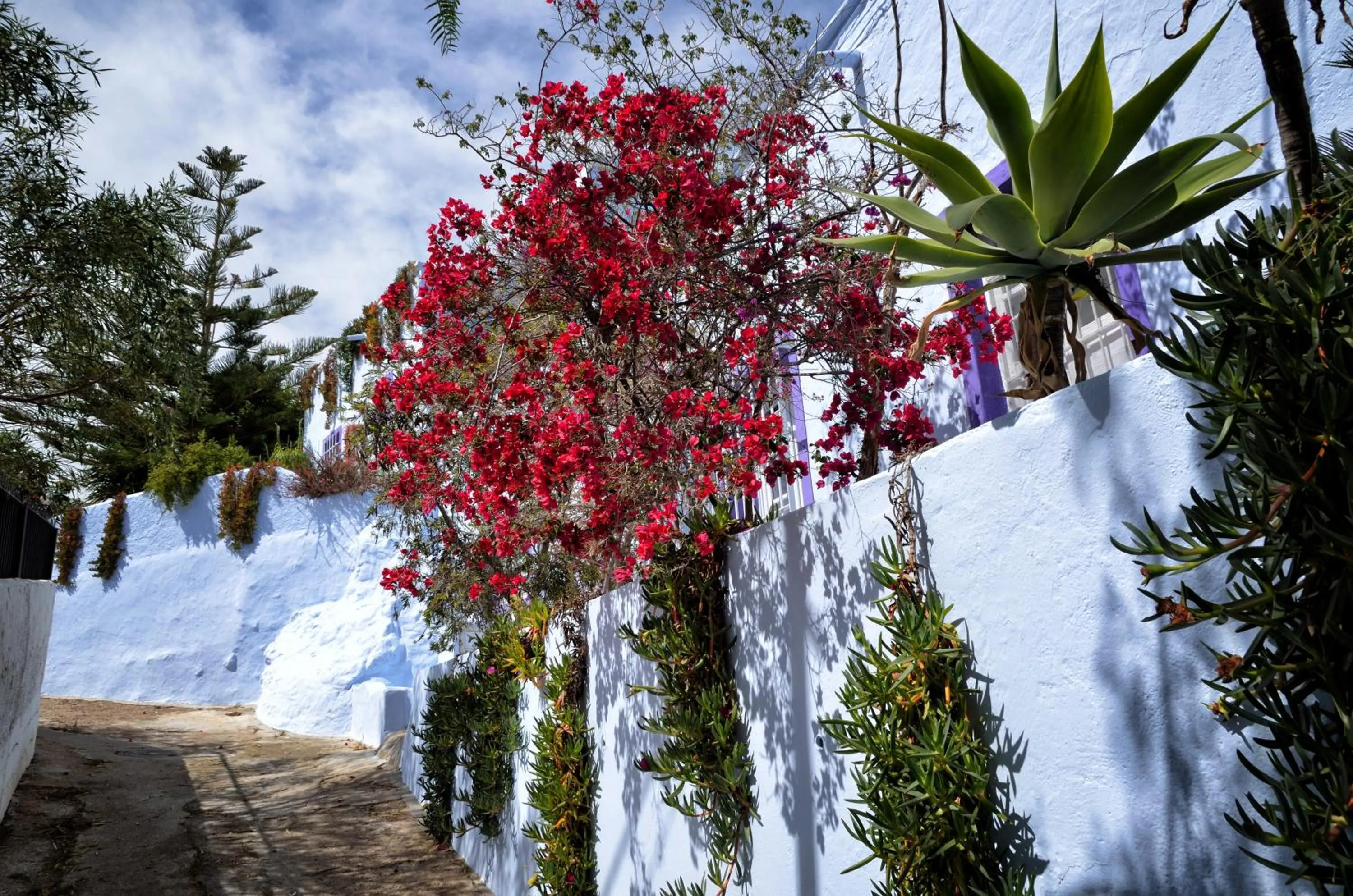 Location in Hotel Costasol