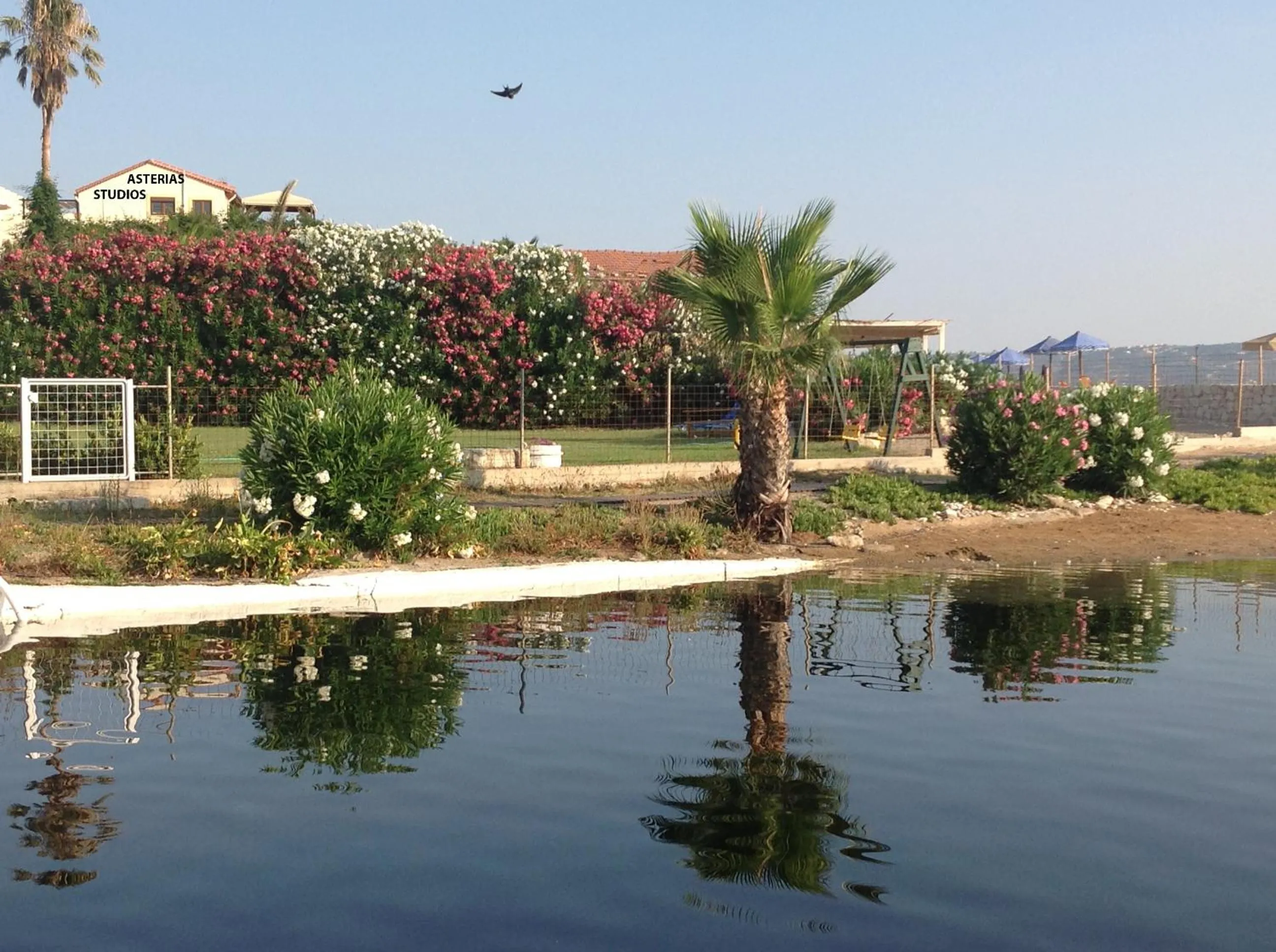 Nearby landmark in Asterias Studios & Apartments