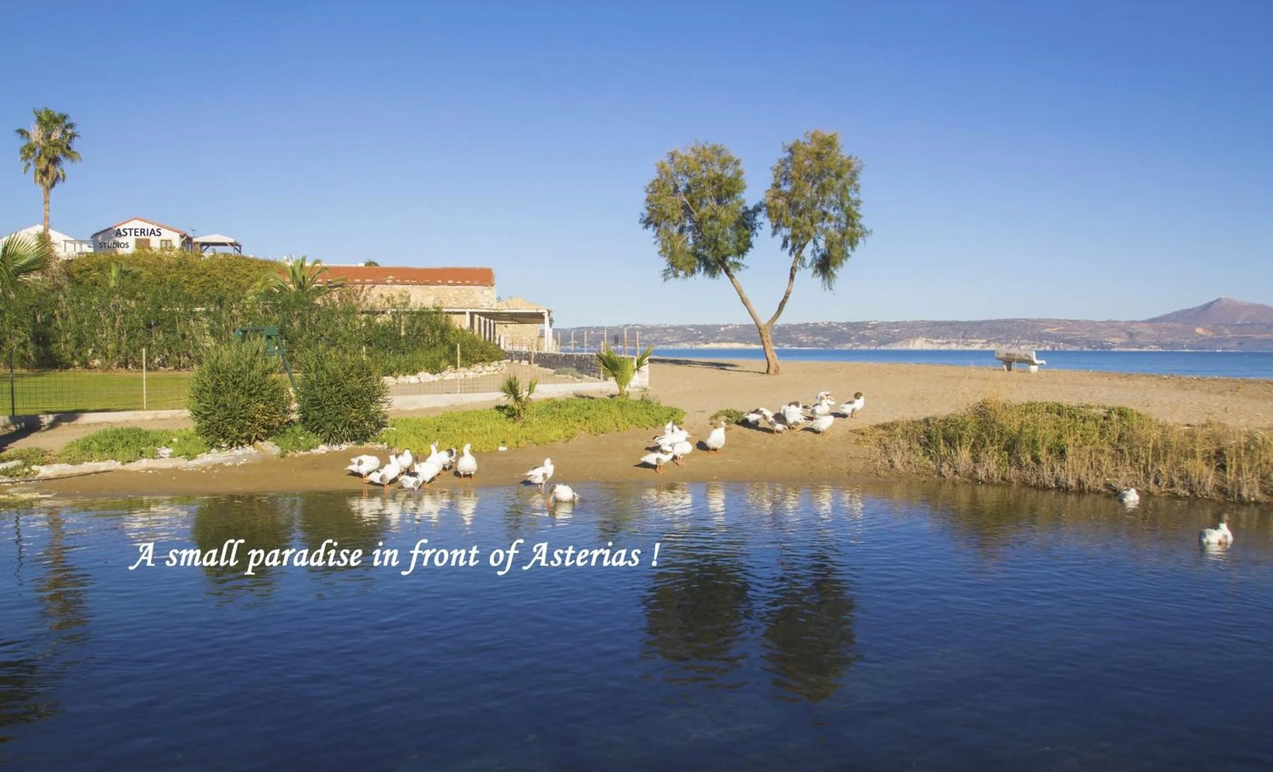 Area and facilities in Asterias Studios & Apartments