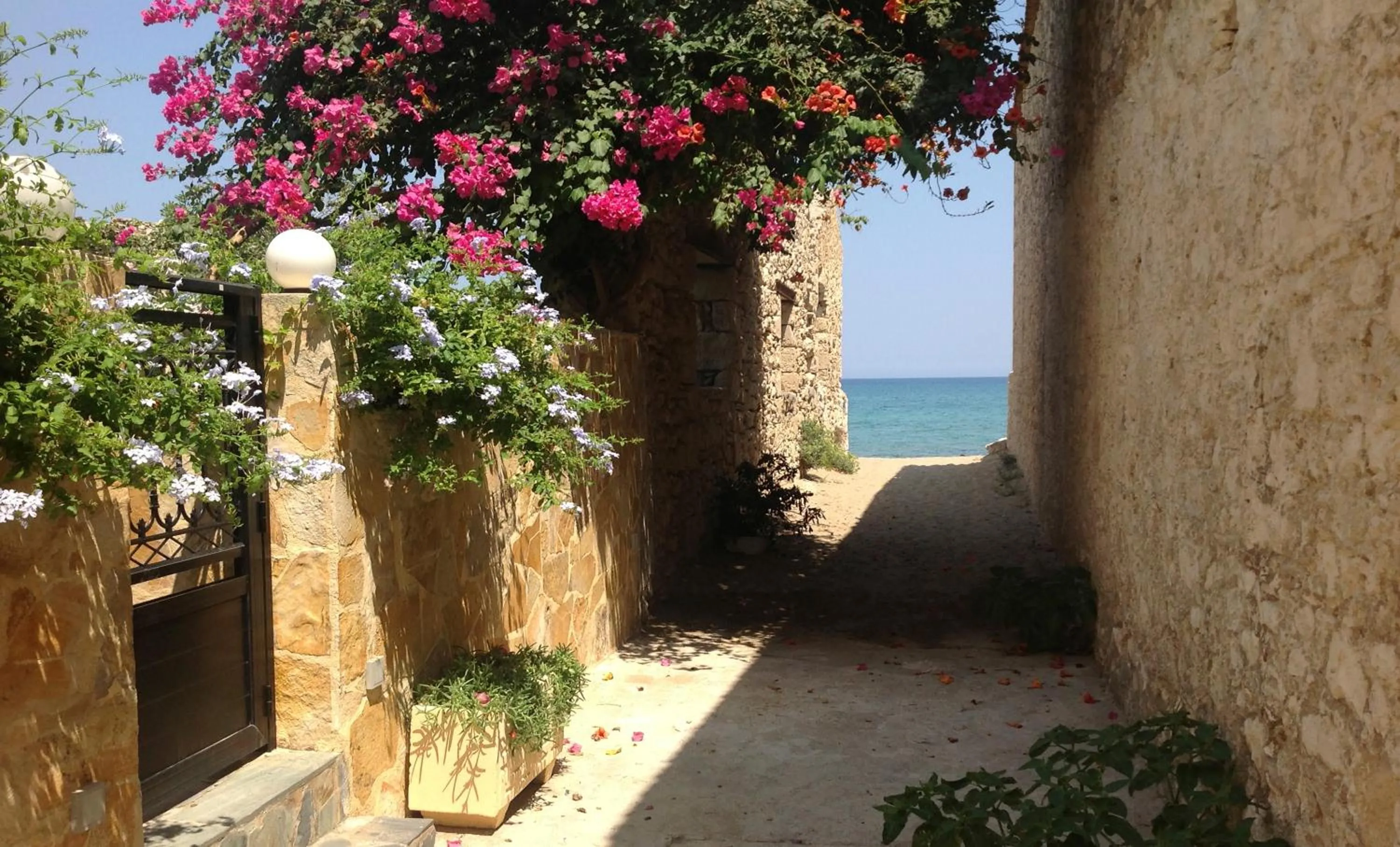 Property building in Asterias Studios & Apartments