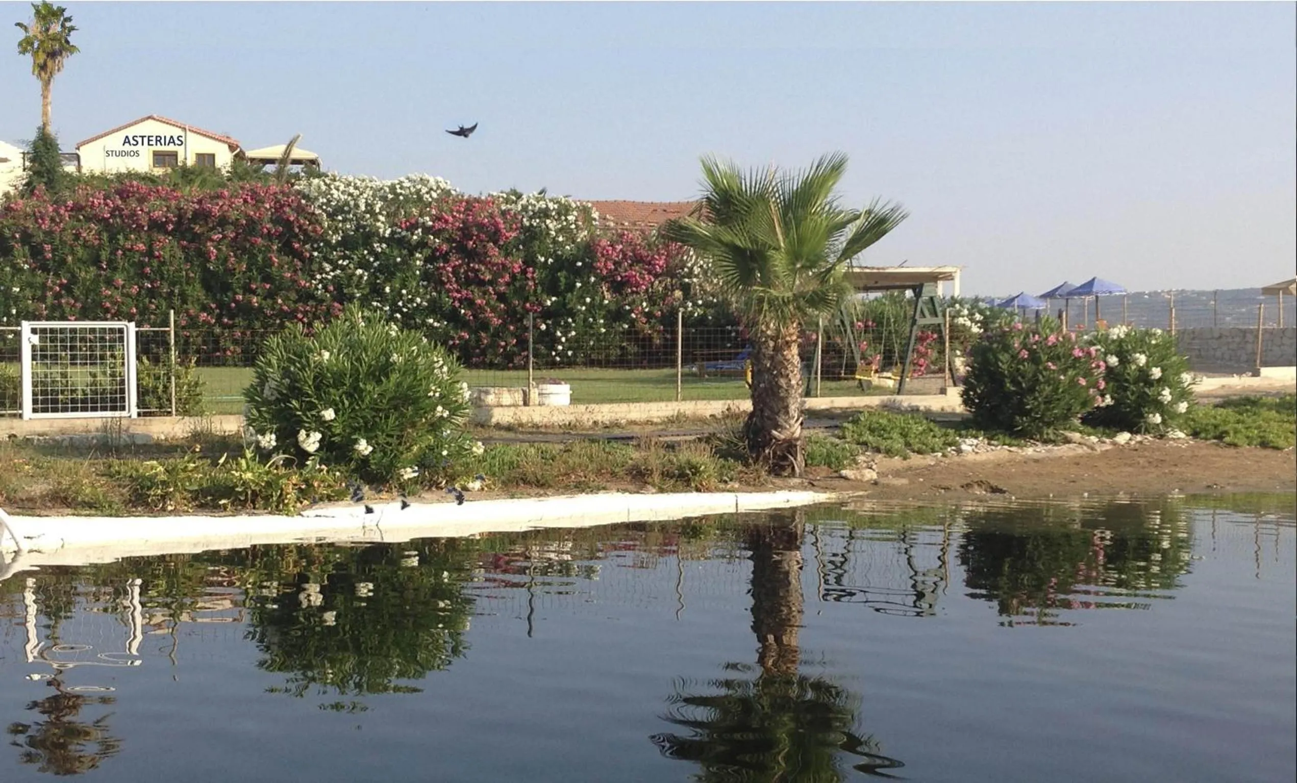 Nearby landmark in Asterias Studios & Apartments