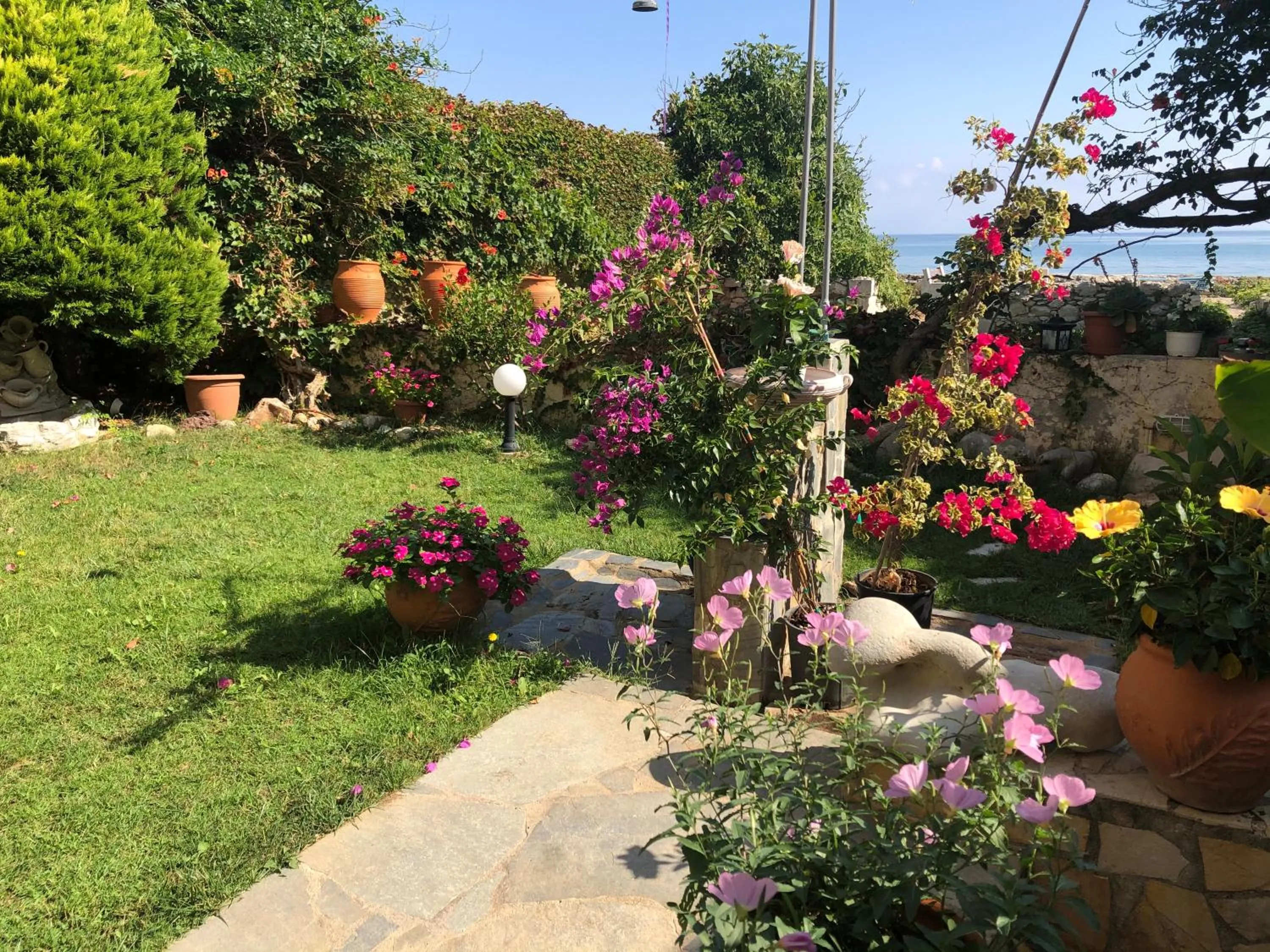 Garden view in Asterias Studios & Apartments