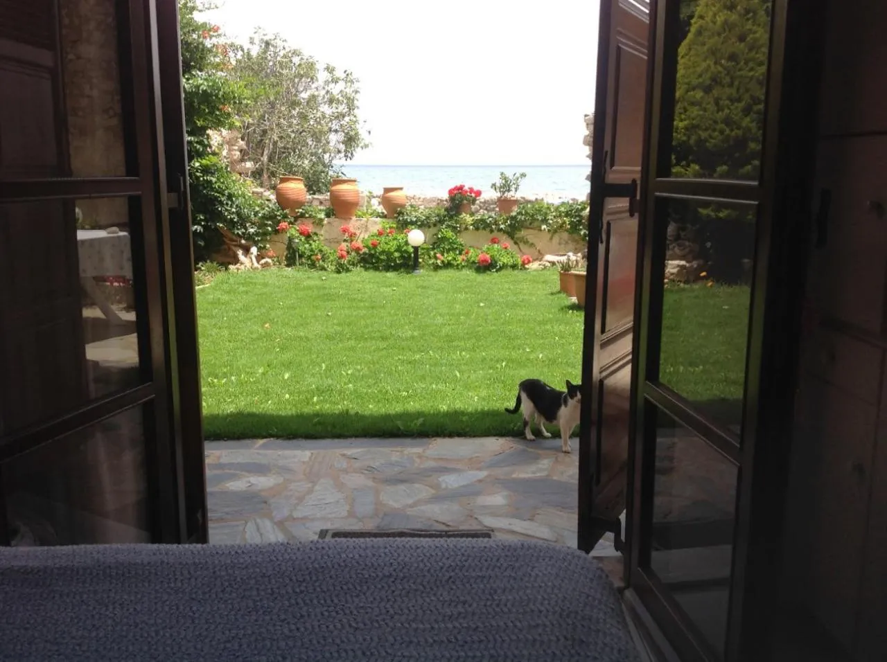 Garden in Asterias Studios & Apartments