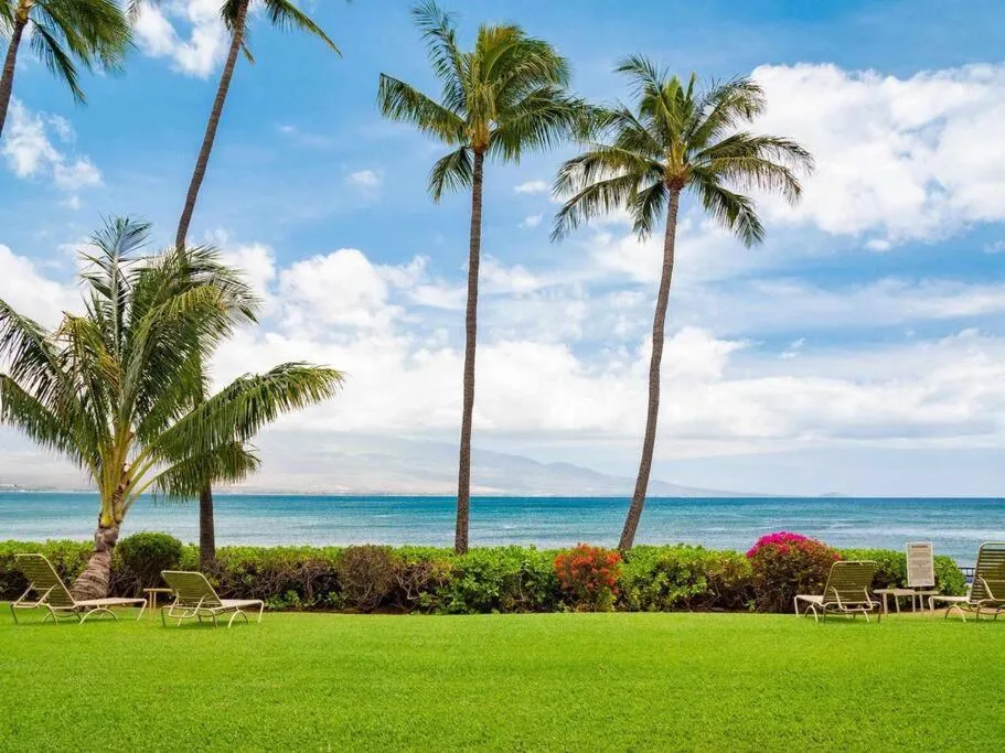 Garden in Stunning Maui Direct Ocean front on the beach, Walk to beach from Condo, Watch Turtles, Whales, AC in all rooms ocean view Pool and Spa