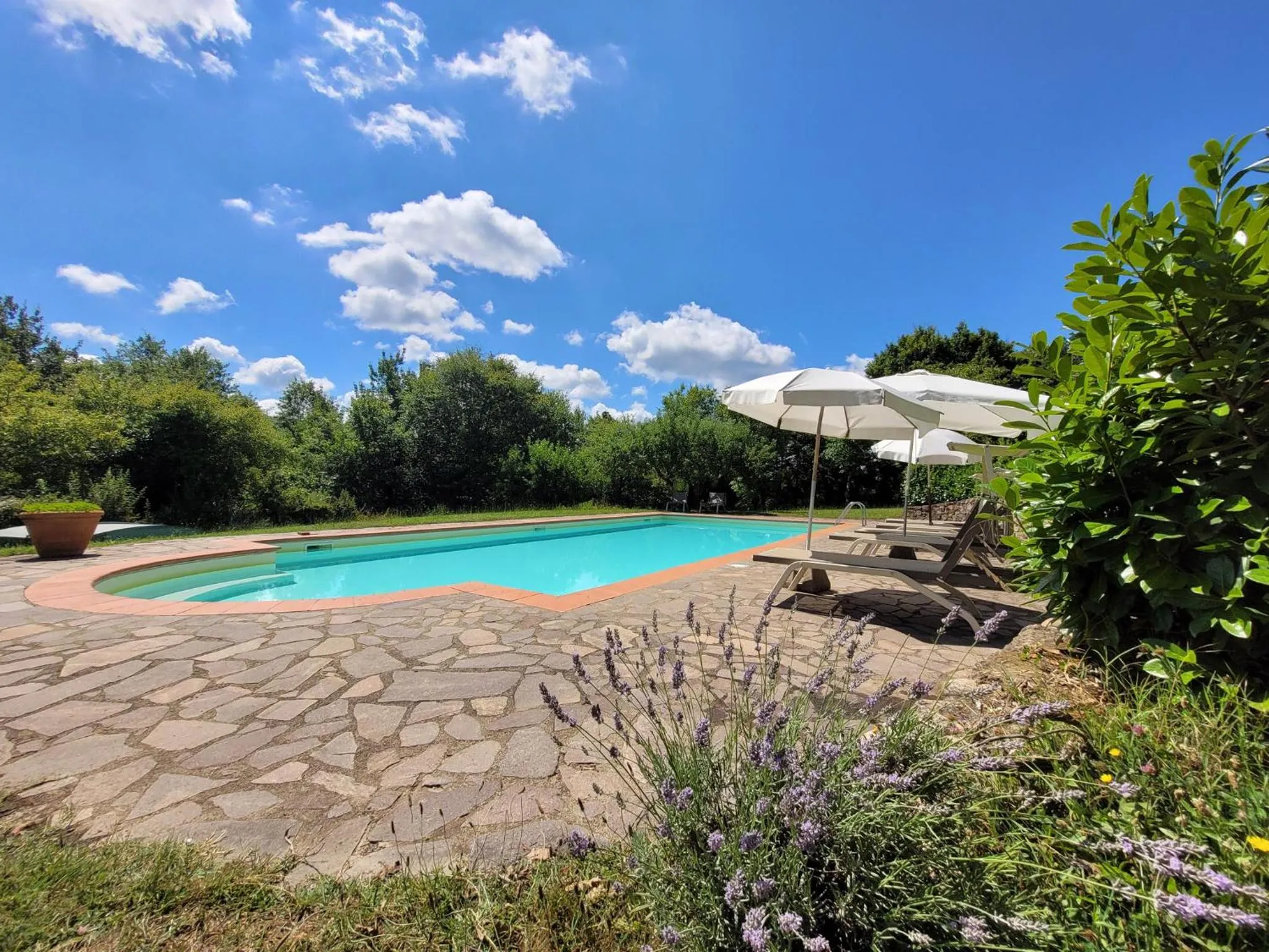 Swimming pool in Casa vacanze Il Poggetto