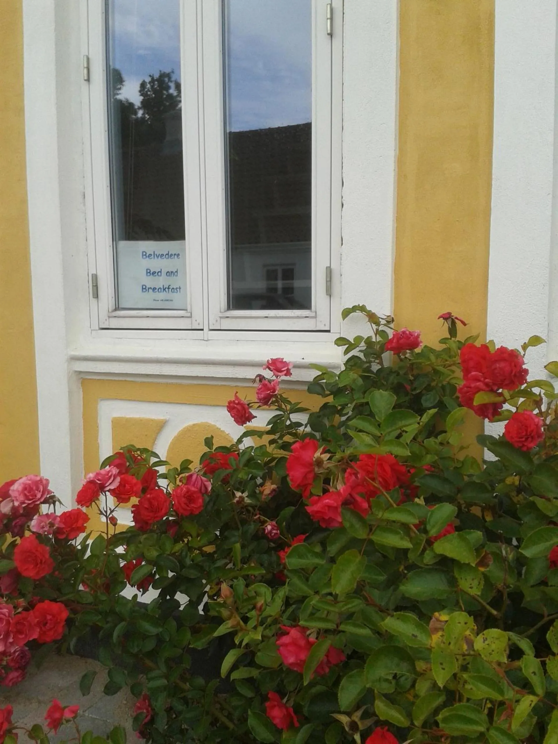 Garden in Belvedere B&B