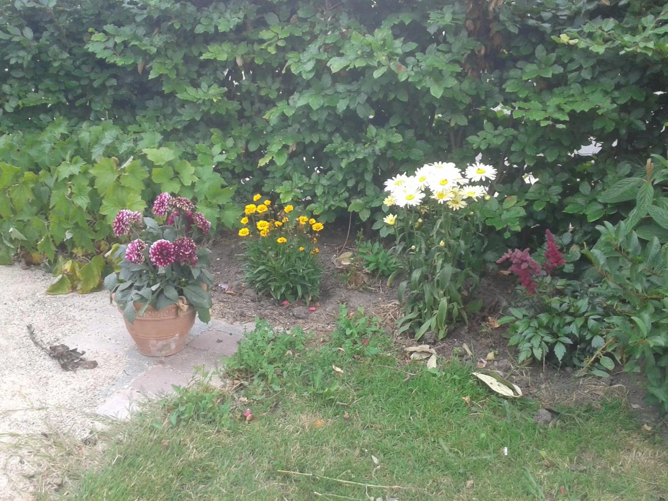 Garden in Belvedere B&B