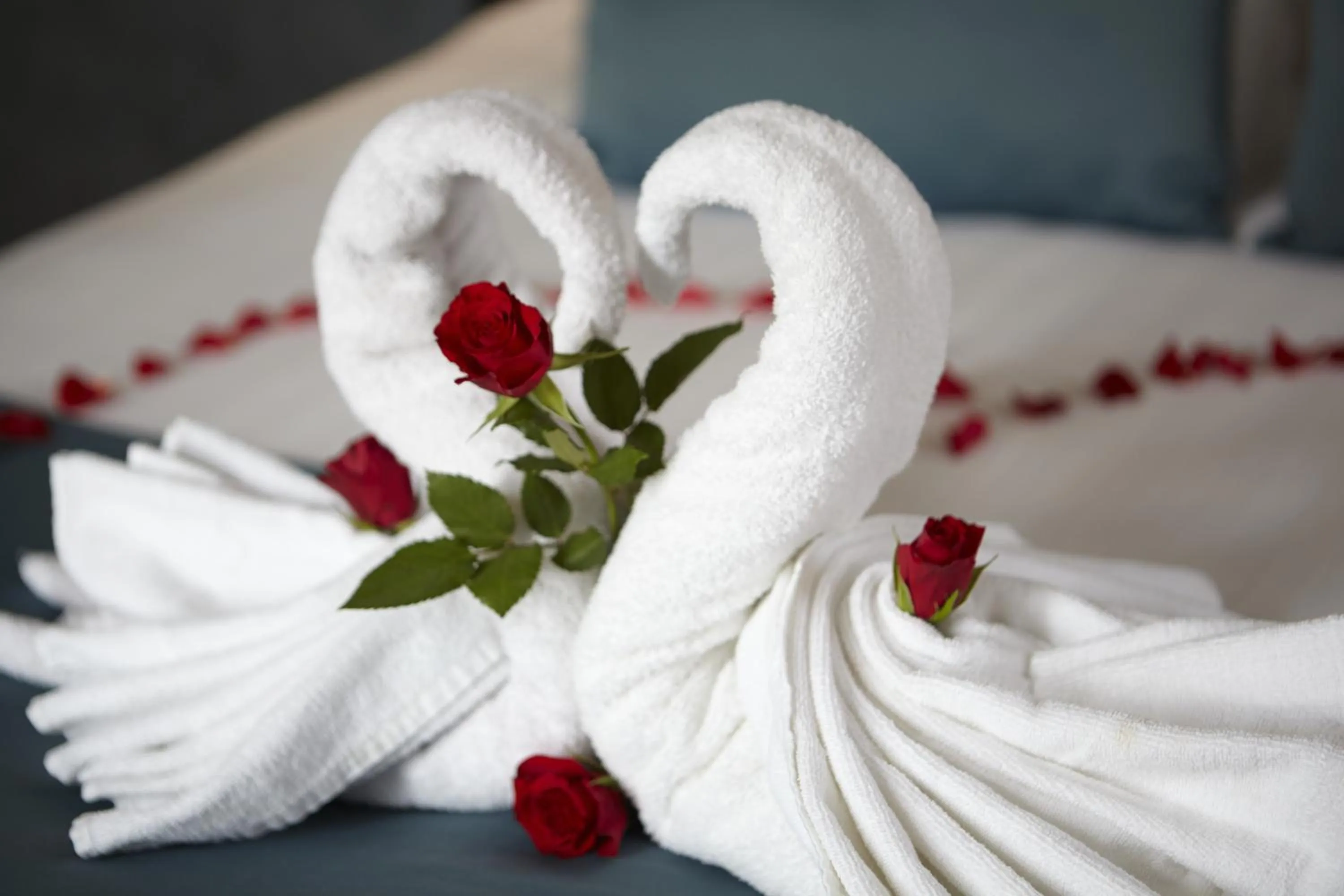 Other, Bed in No. 377 House