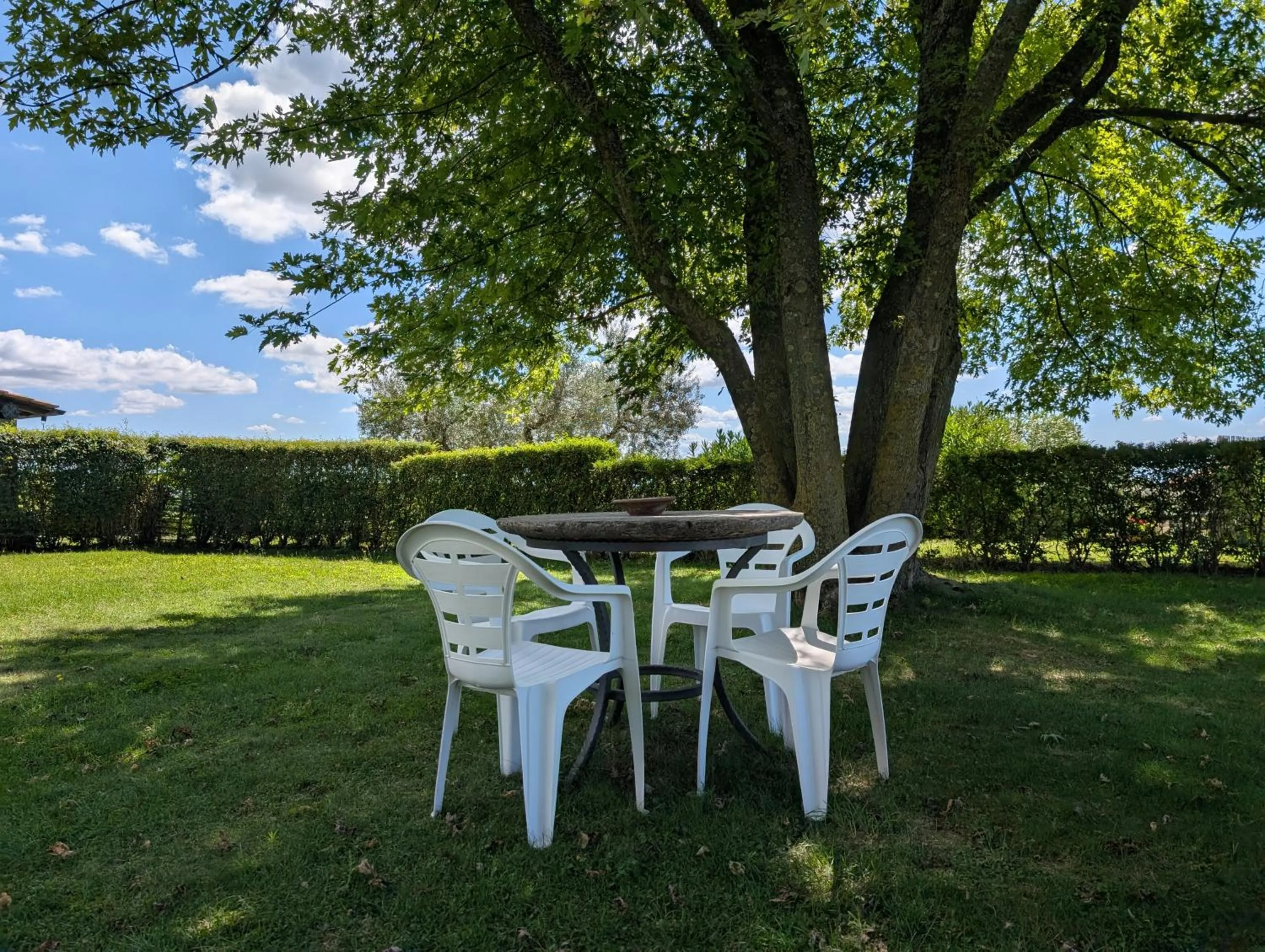 Garden in Agriturismo Bella Cima
