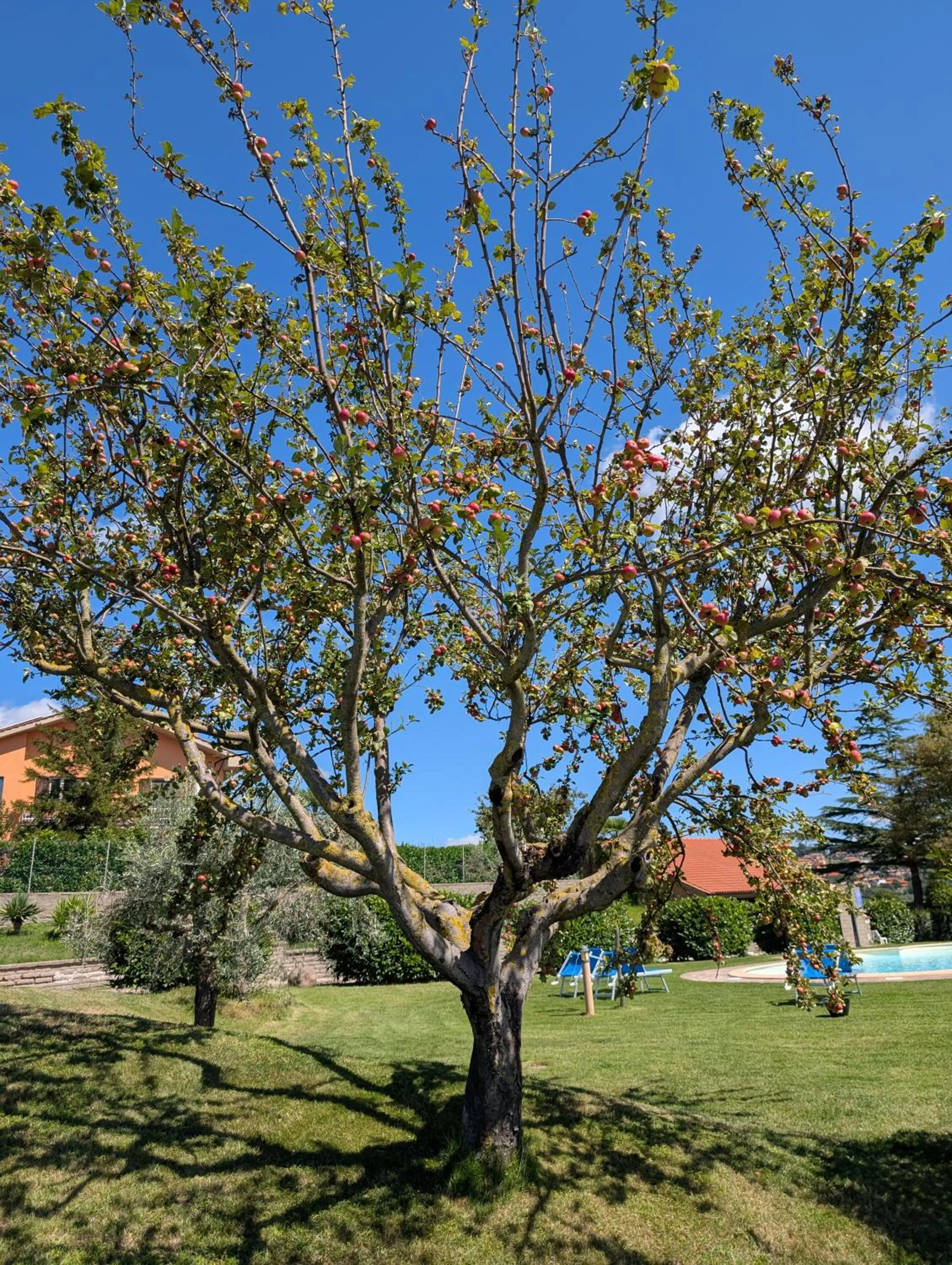 Garden in Agriturismo Bella Cima