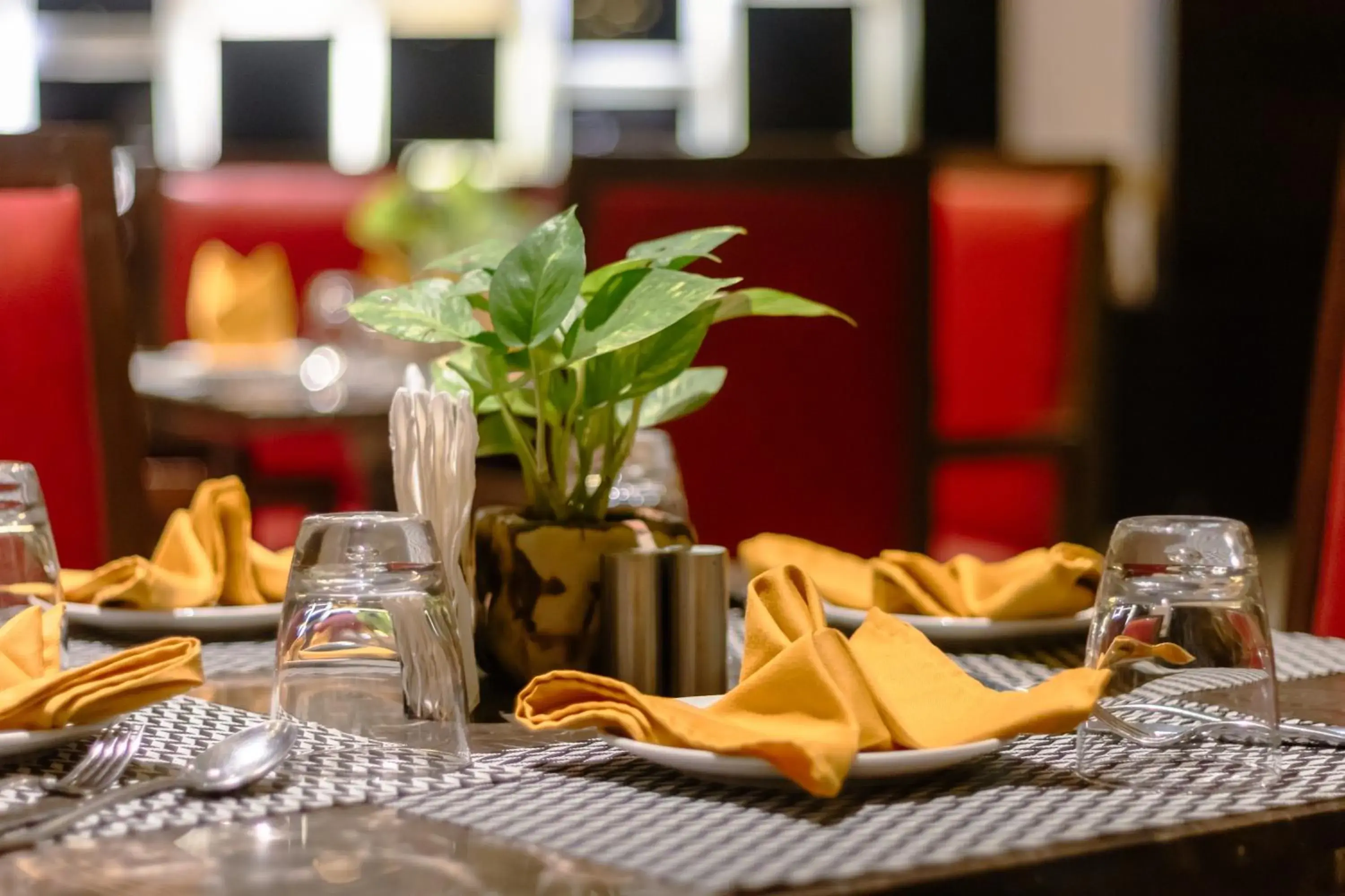 Restaurant/places to eat in Udman Hotel Chhattarpur Restaurant/places to eat in Udman Hotel Chhattarpur