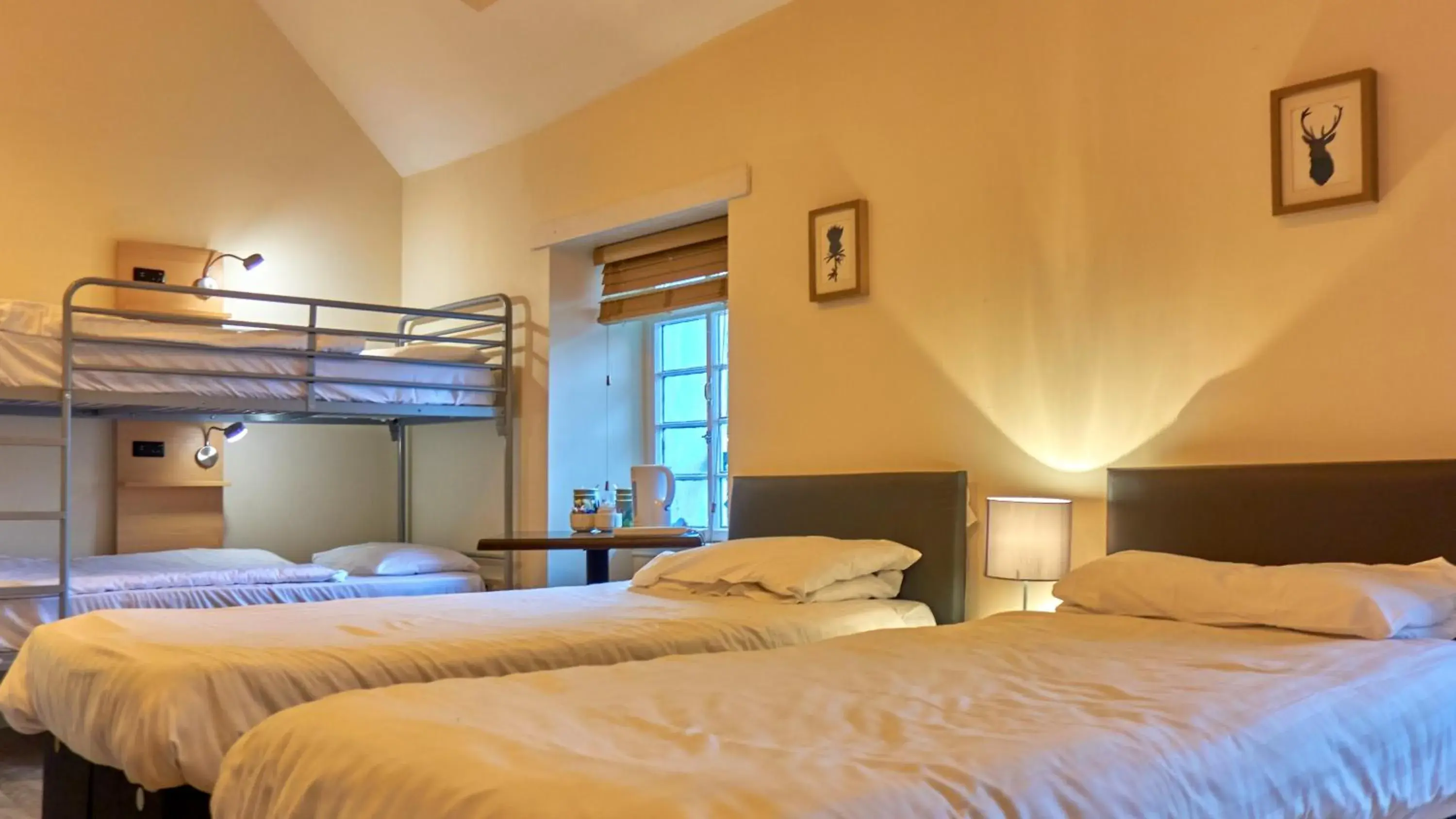 bunk bed, Bed in Callander Hostel bunk bed, Bed in Callander Hostel