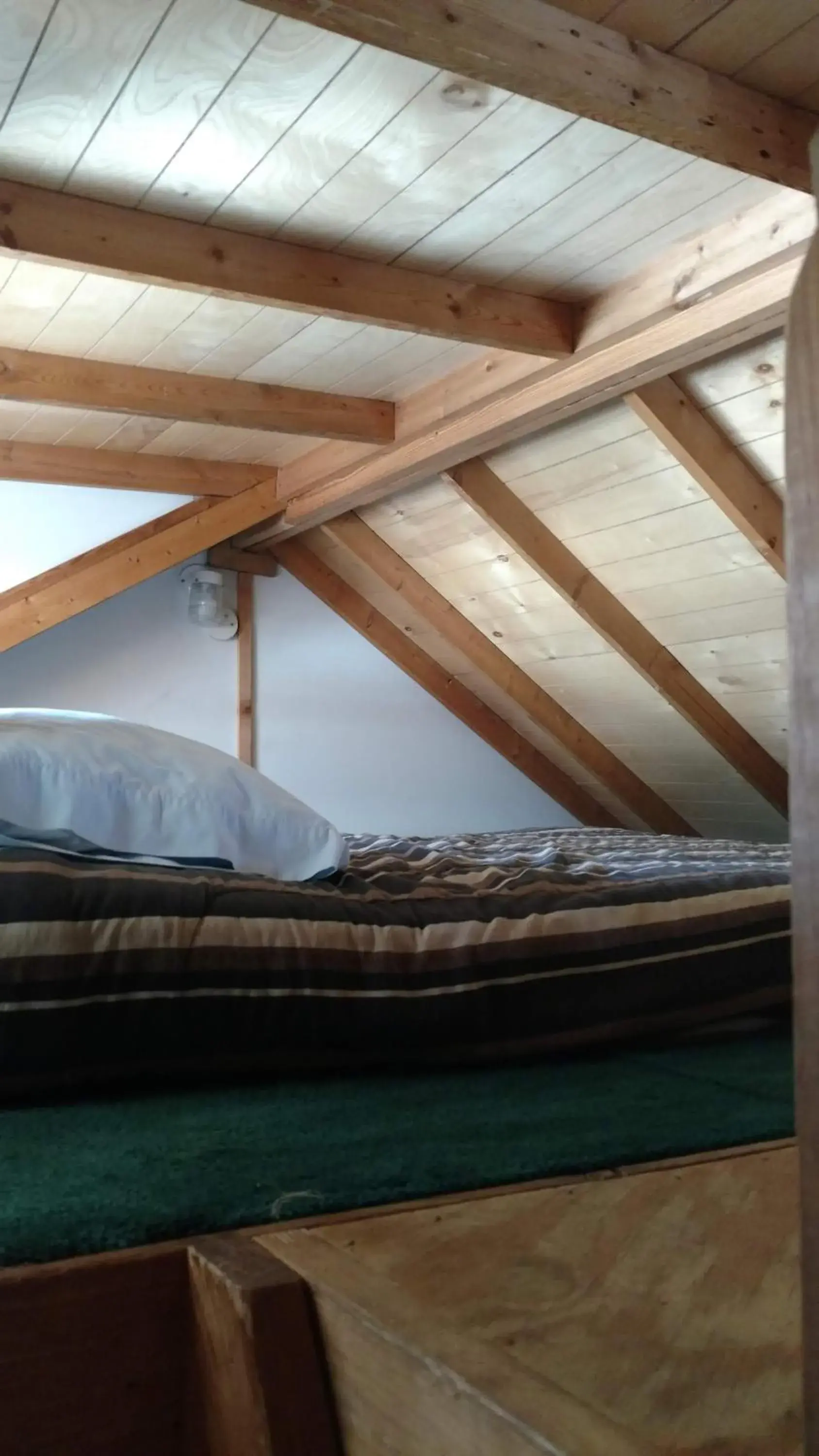 Superior Cottage - single occupancy in Chama River Bend Lodge Superior Cottage - single occupancy in Chama River Bend Lodge