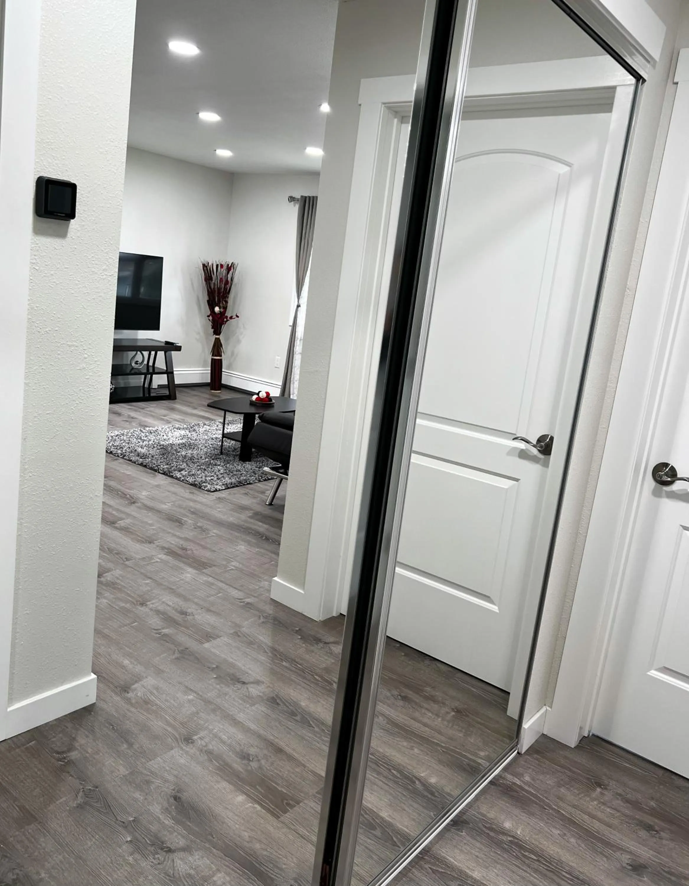 wardrobe in Anchorage midtown apartment- Wyoming 1