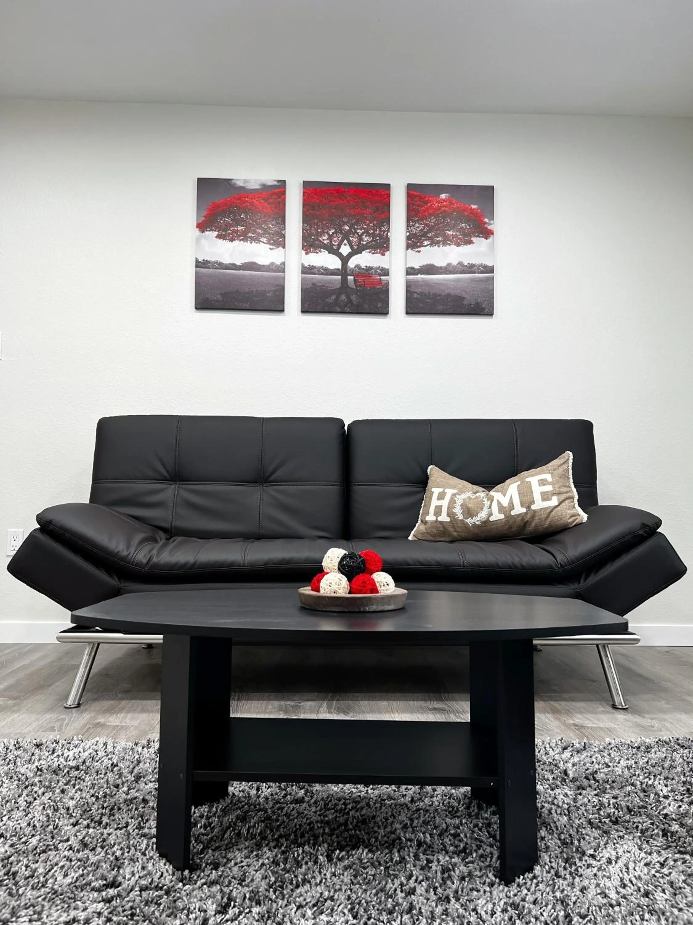 Living room in Anchorage midtown apartment- Wyoming 1