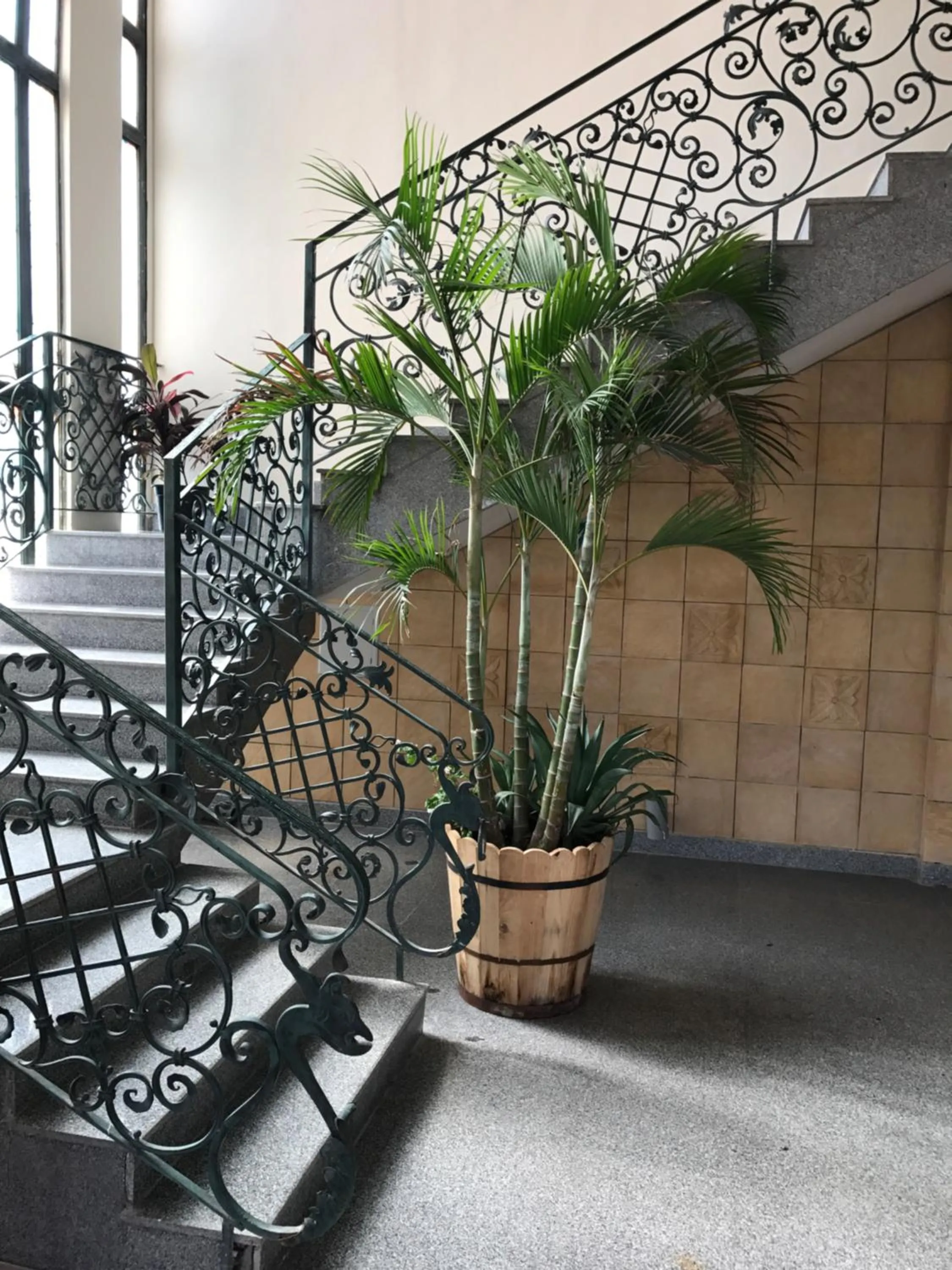 Floor plan in Hotel Royal Marshal