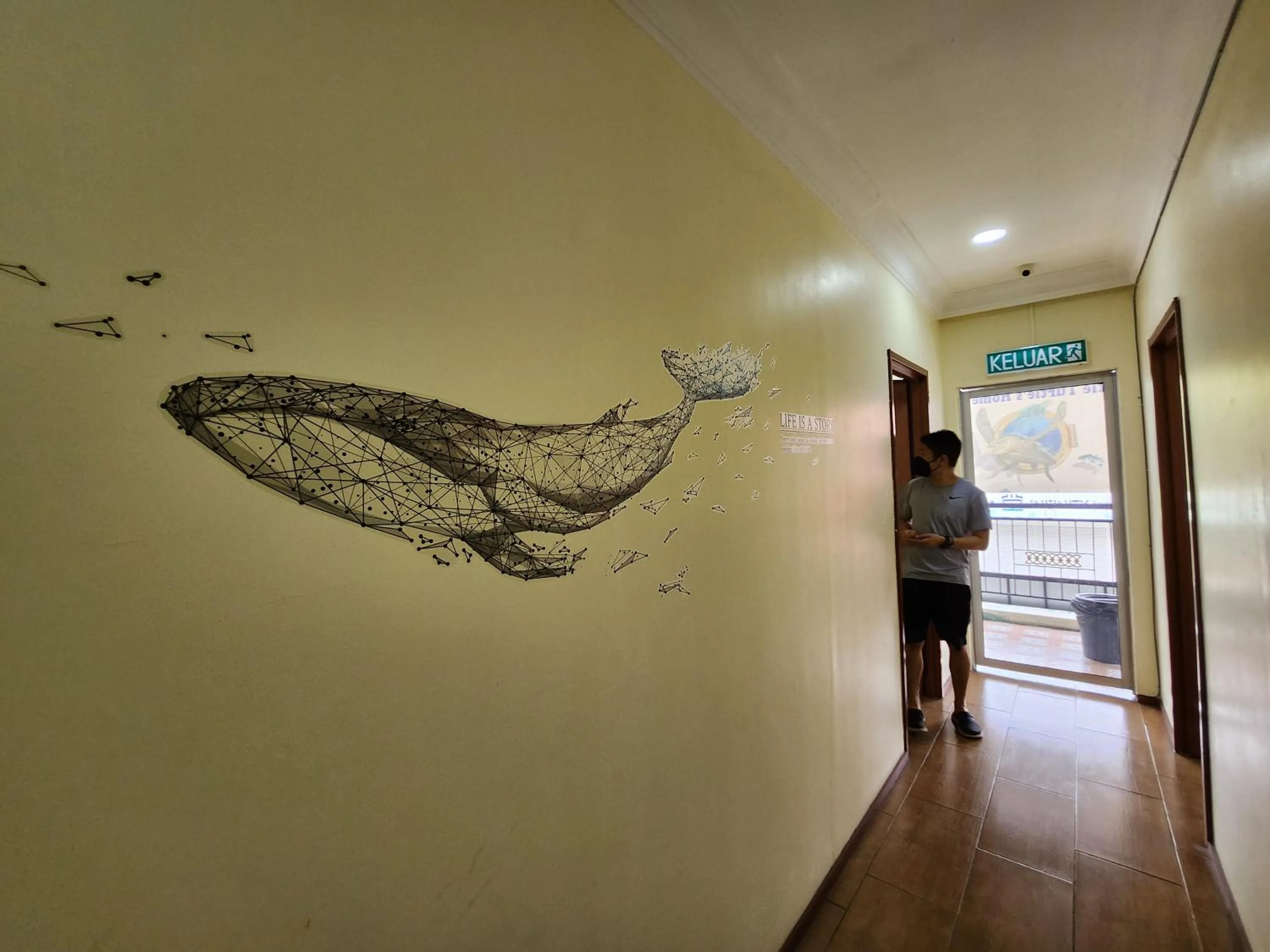 LTH (Little Turtle's Home)