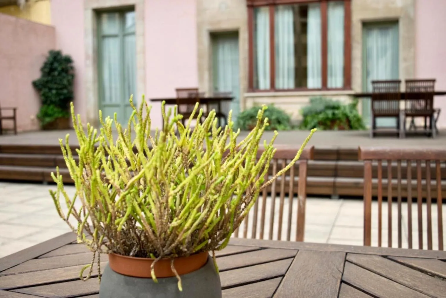 Patio in Onix Rambla