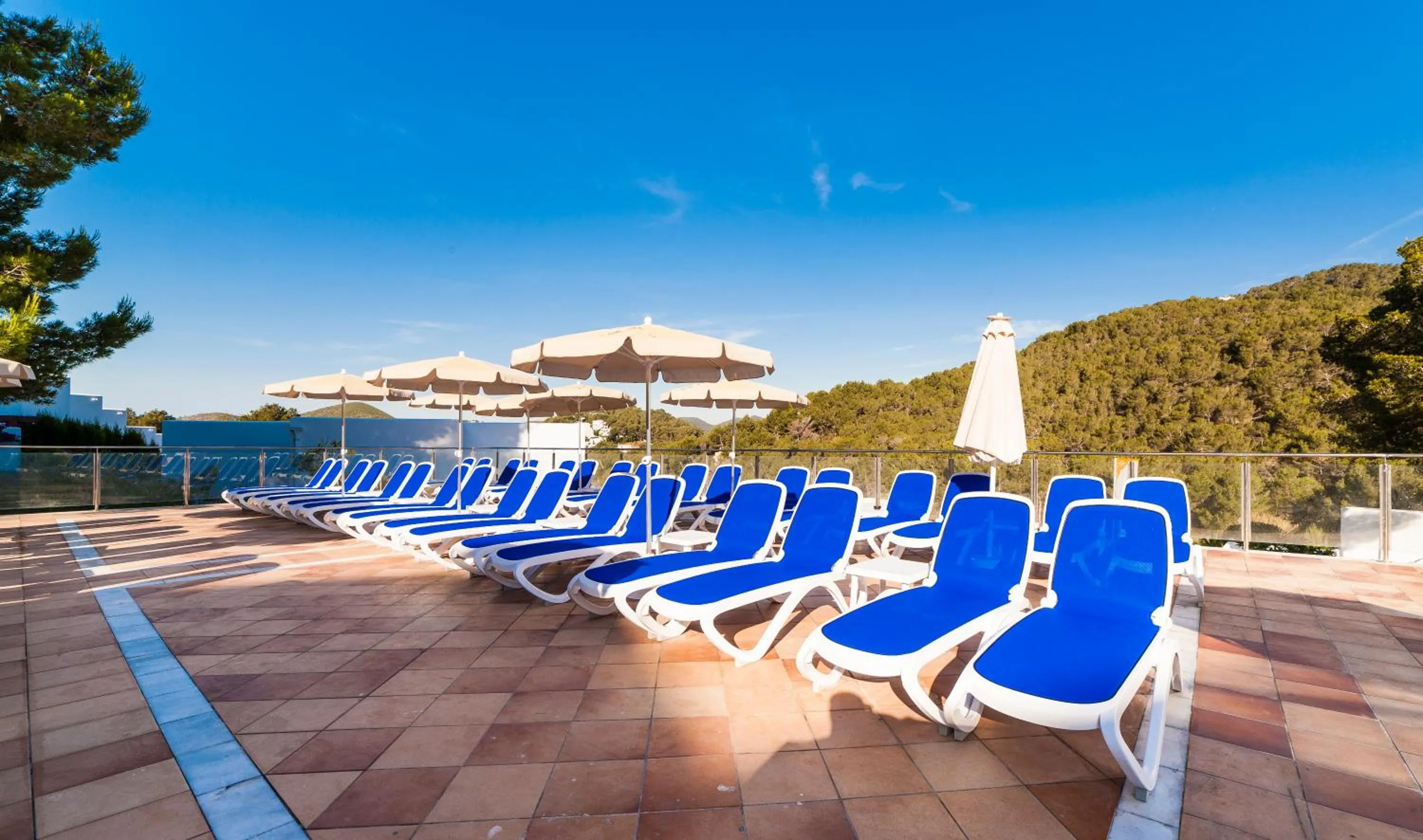 Garden in Globales Montemar