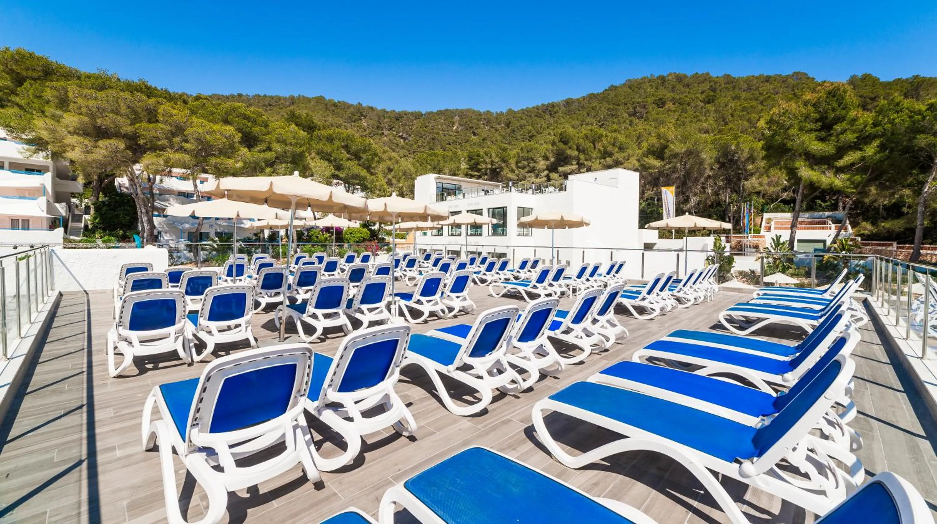 Garden in Globales Montemar