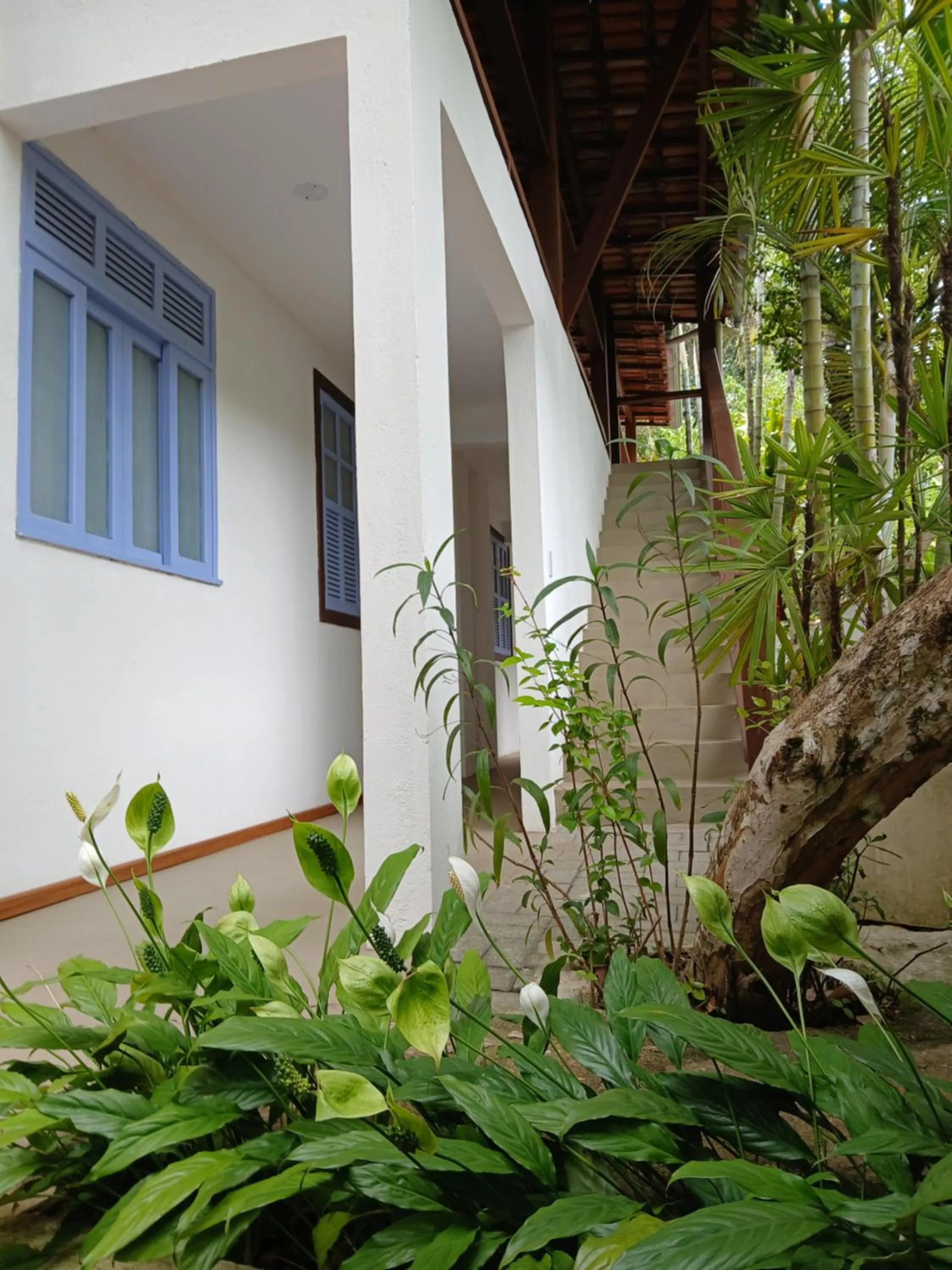 Property building in Pitanga Ilha Grande