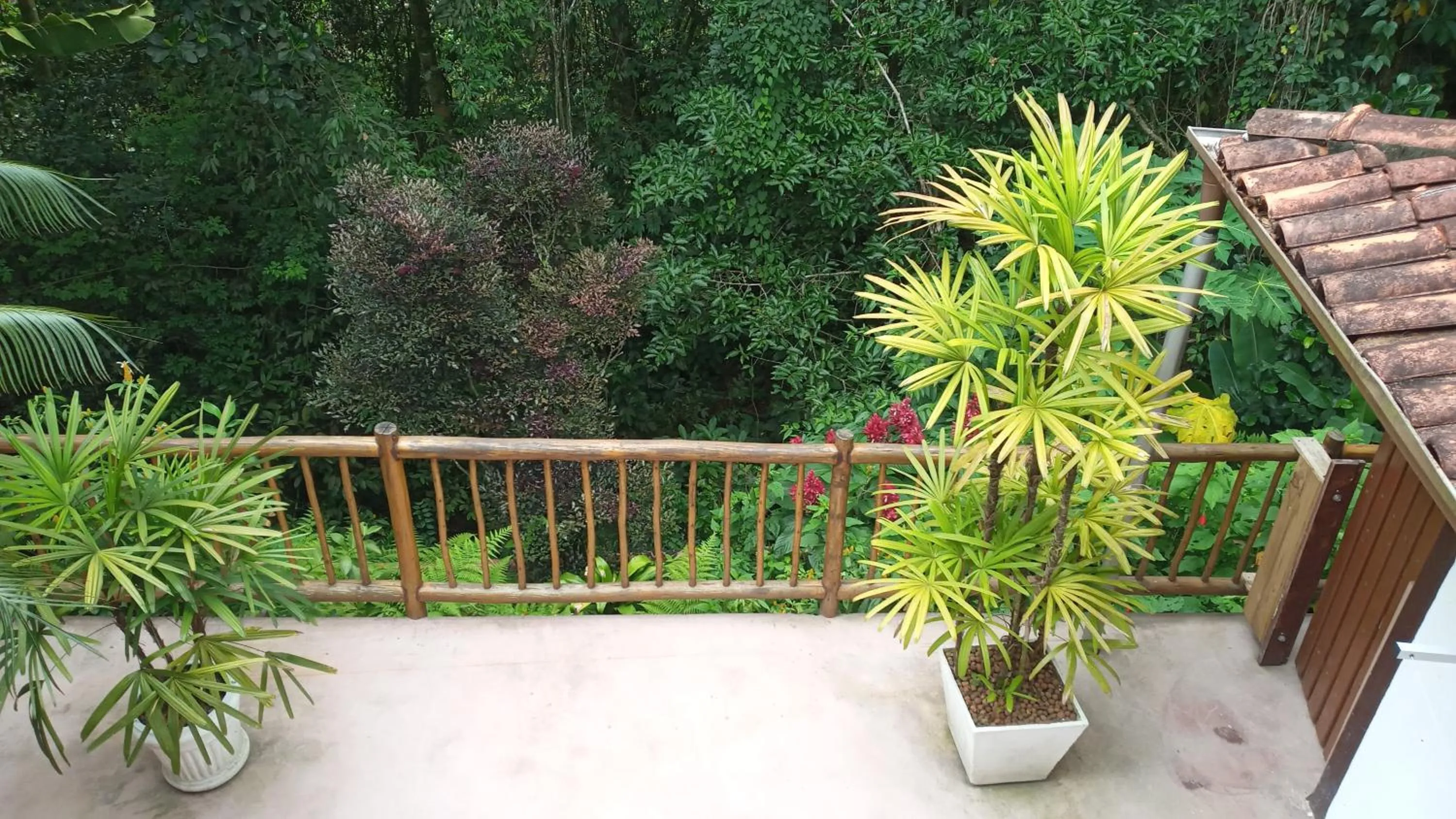 View (from property/room) in Pitanga Ilha Grande