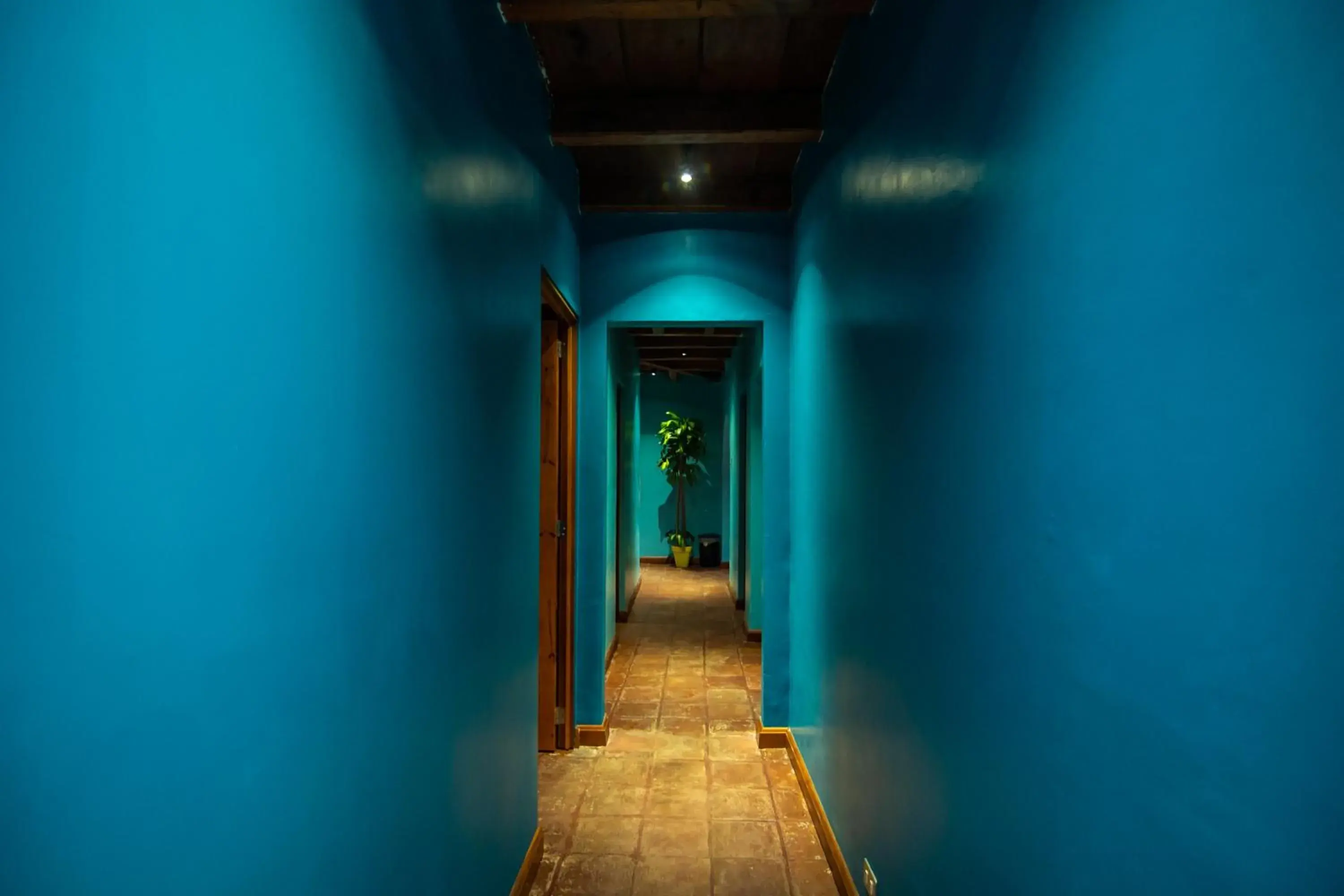 Property building in Yes Please! Hostel Property building in Yes Please! Hostel