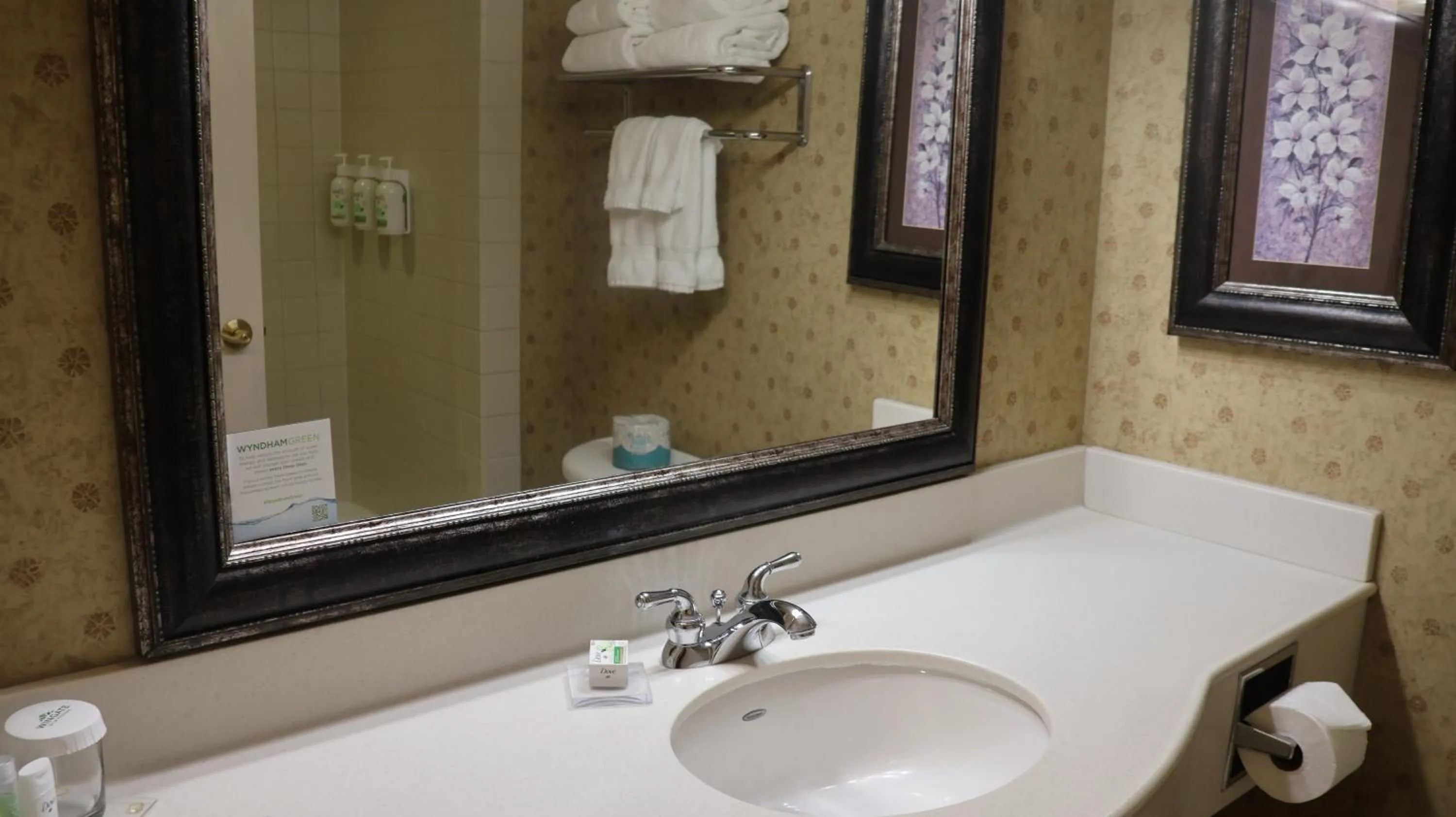 Bathroom in Wingate by Wyndham Peoria - Complimentary Area Shuttle
