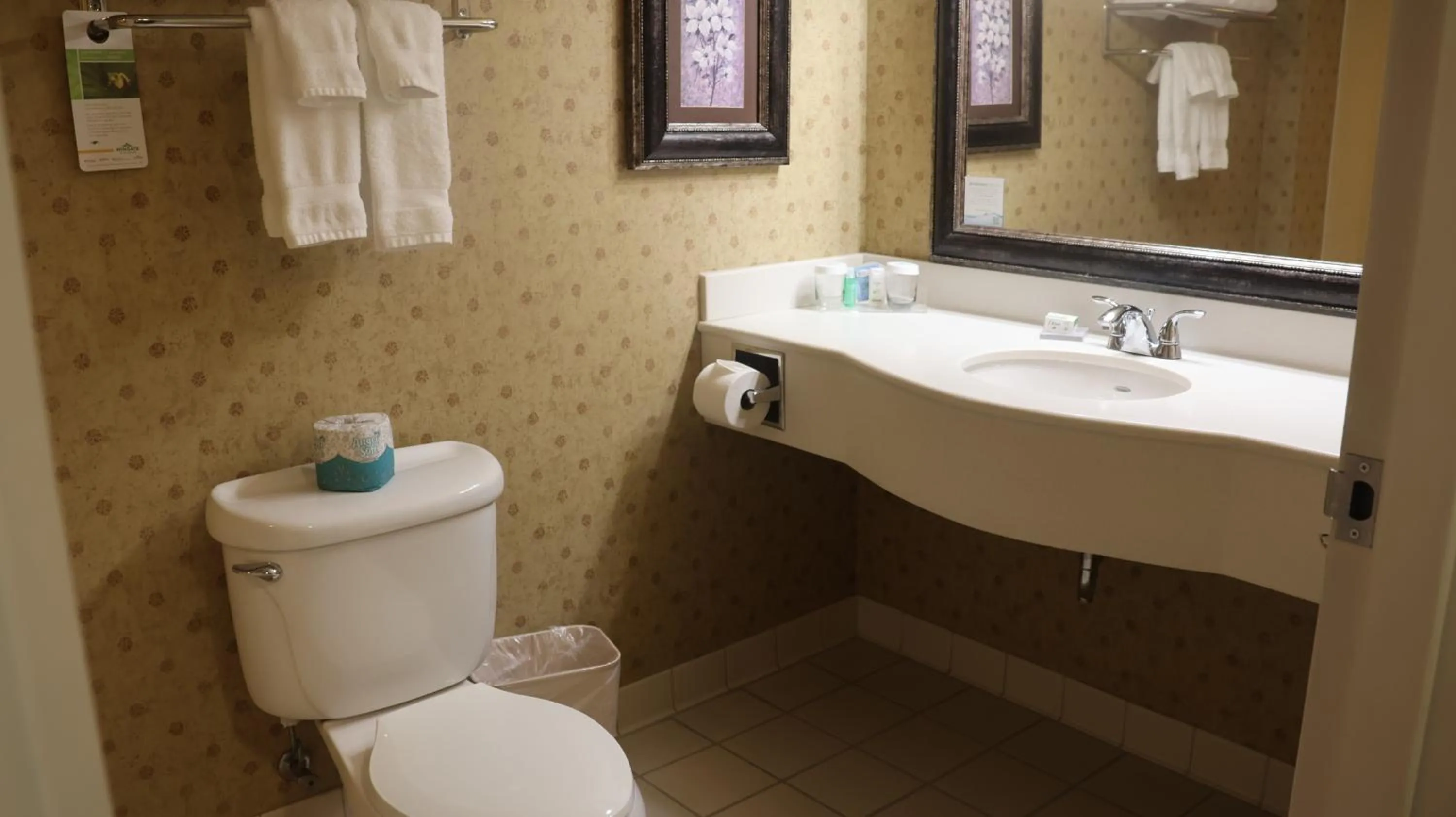 Bathroom in Wingate by Wyndham Peoria - Complimentary Area Shuttle