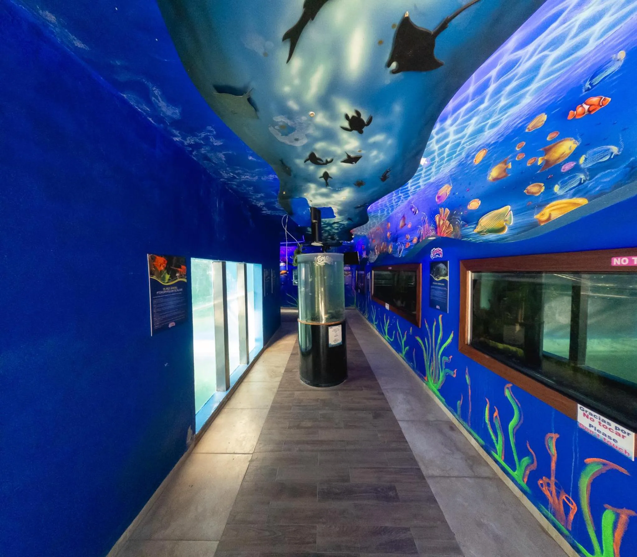 Aqua park in Splash Inn Nuevo Vallarta & Parque Acuatico