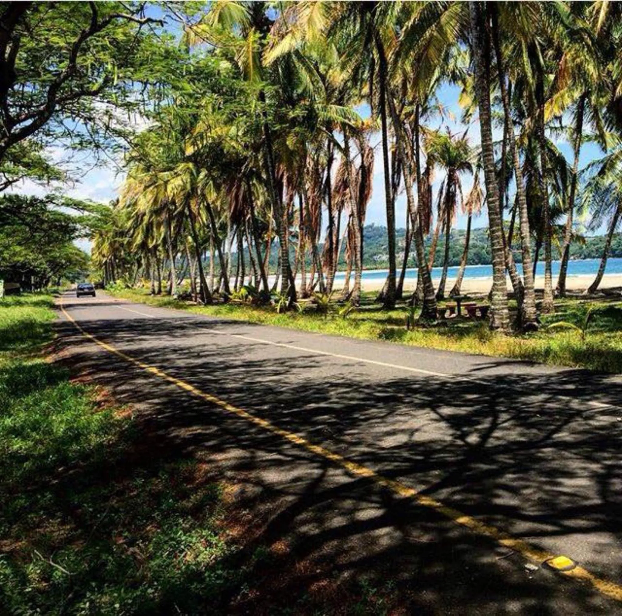 Beach in Hotel Esperanza