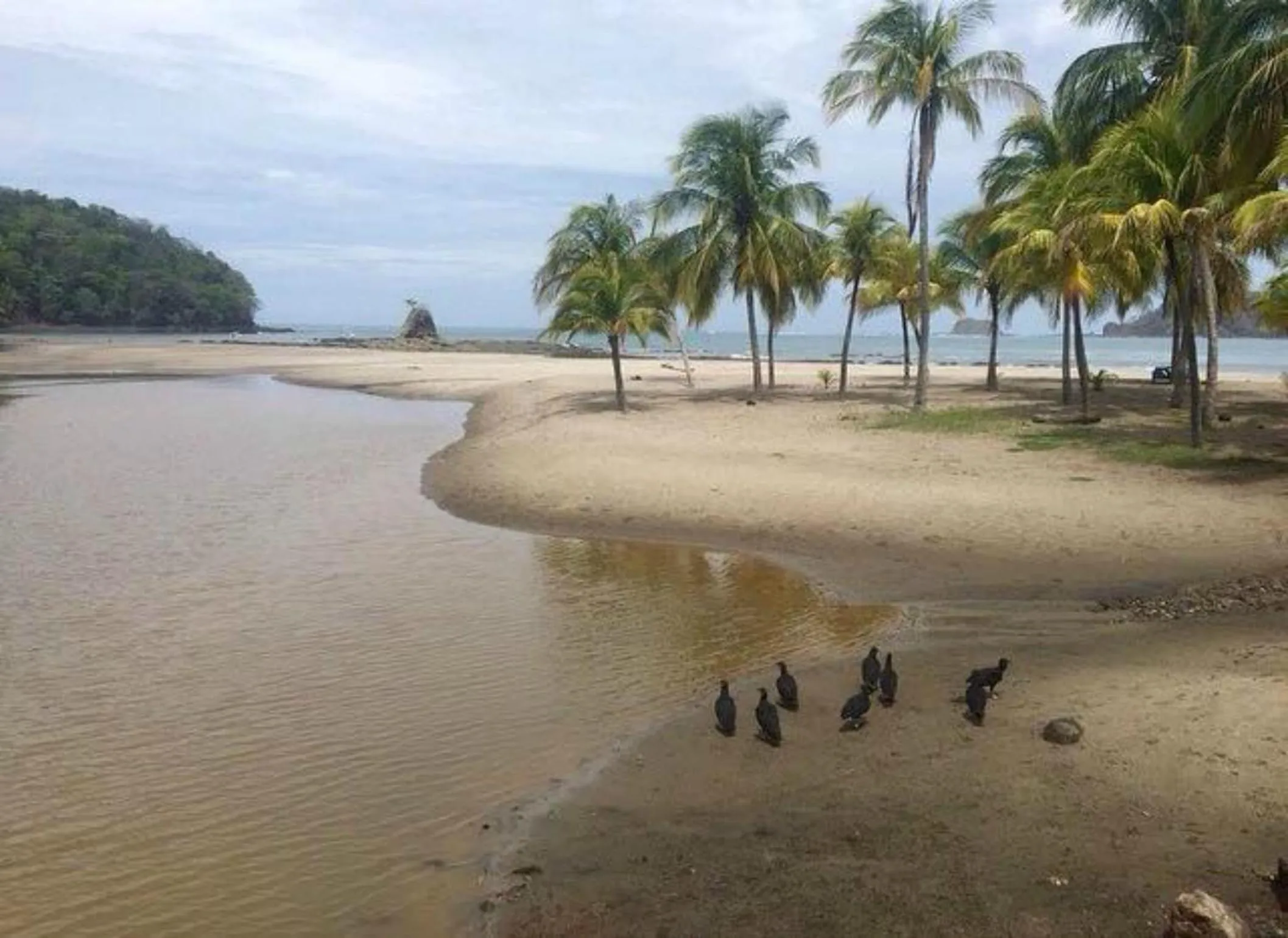 Beach in Hotel Esperanza