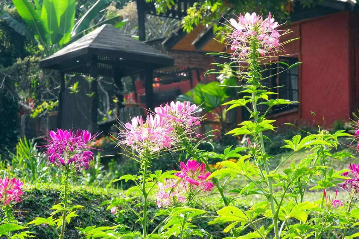 Property building in Mae Sa Valley Farm Stay Resort