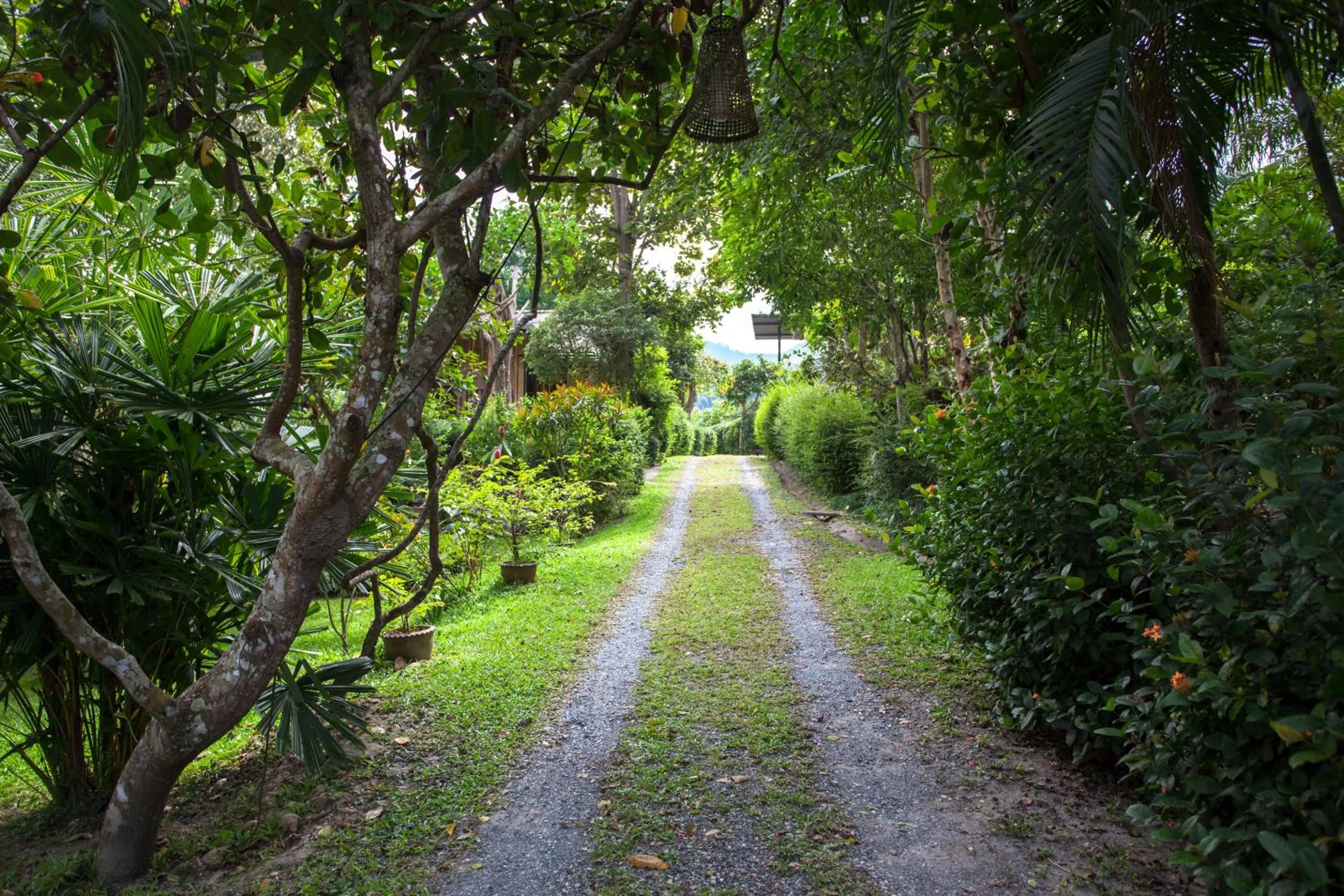 Natural landscape in Mae Nai Gardens