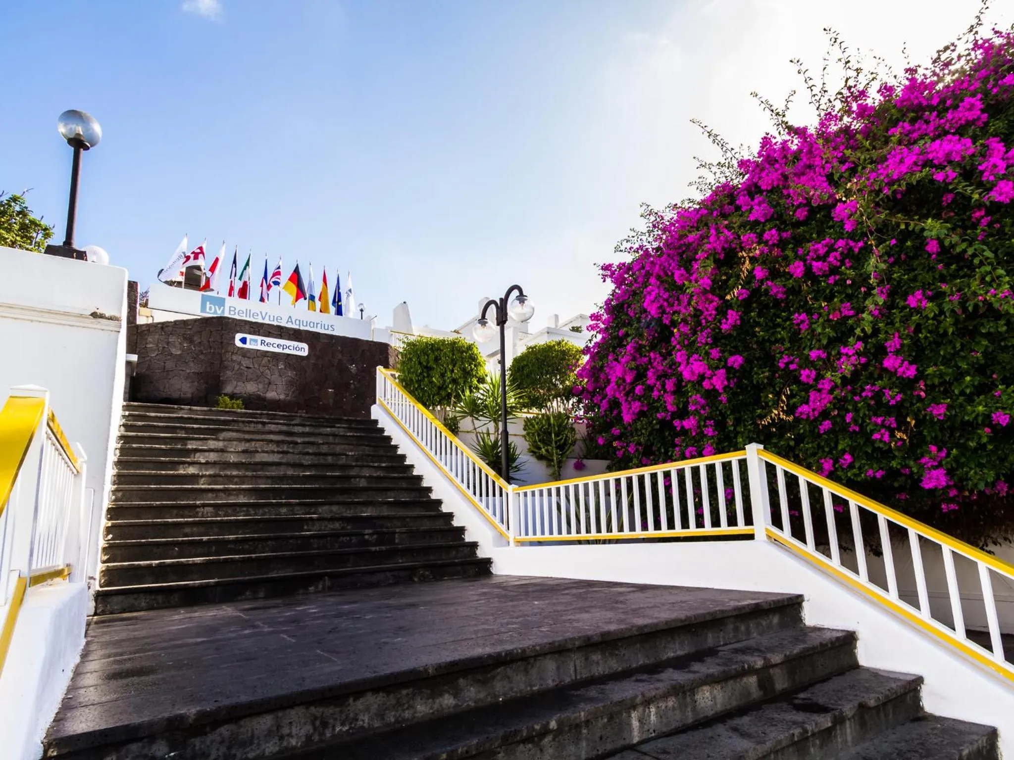 Property building in BelleVue Aquarius