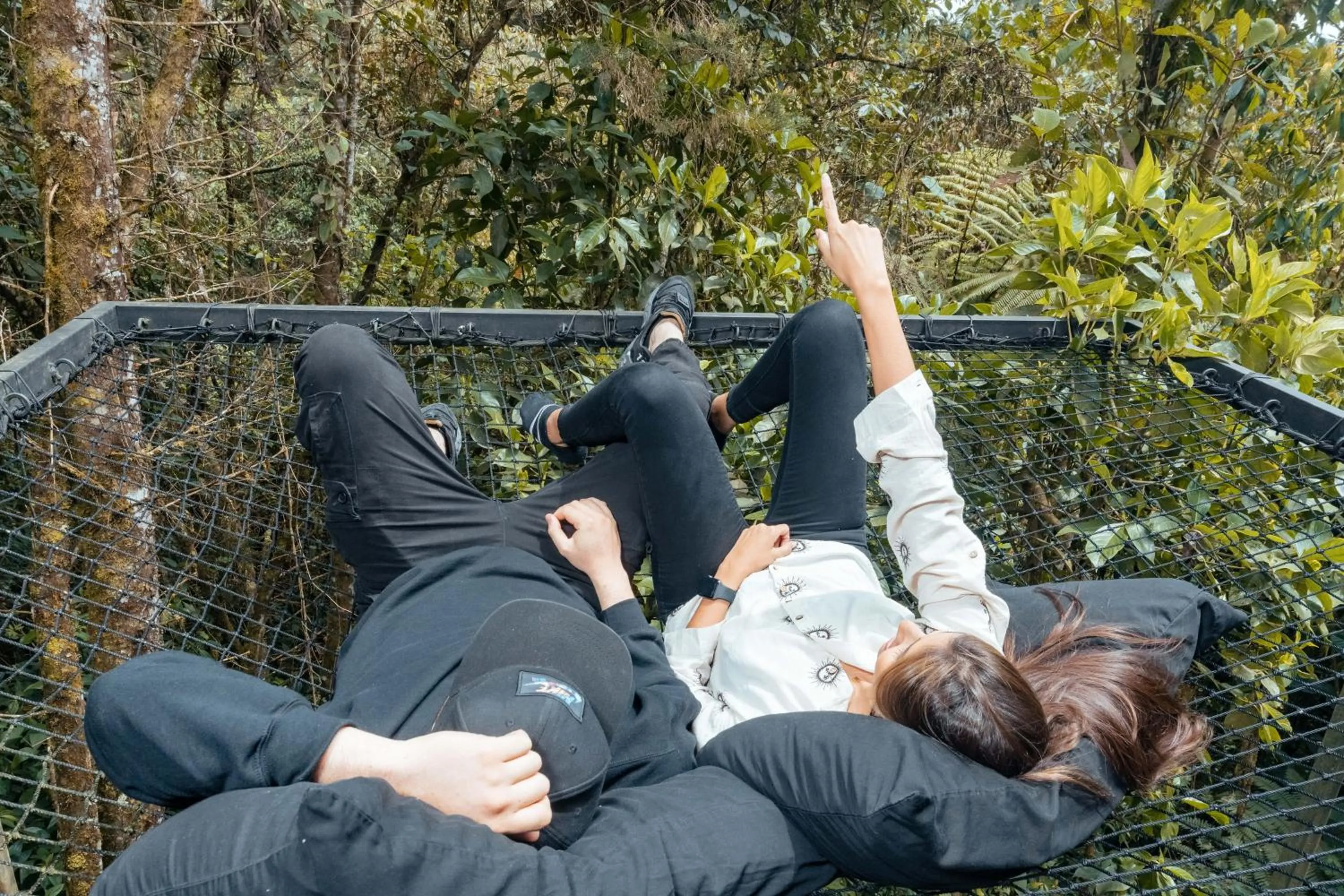 Spring in Oculto refugio de bosque