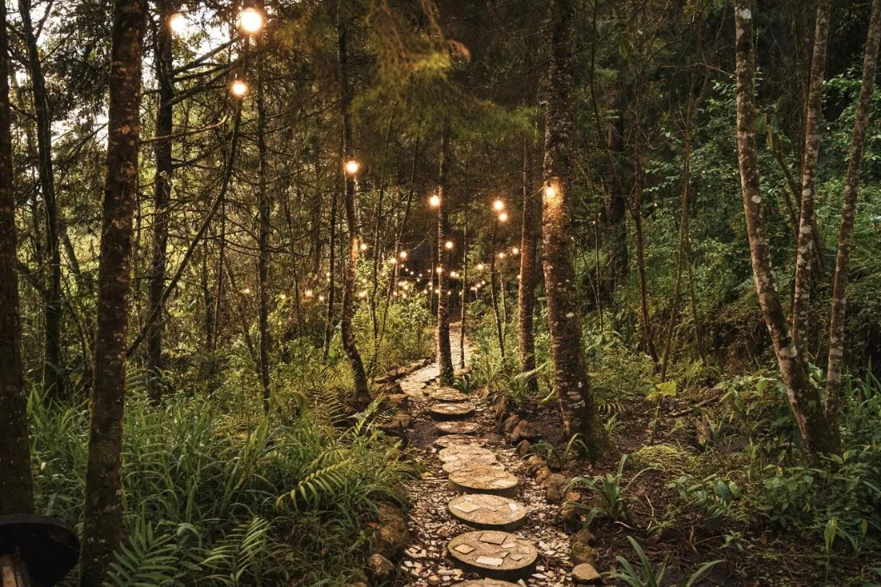 Natural landscape in Oculto refugio de bosque